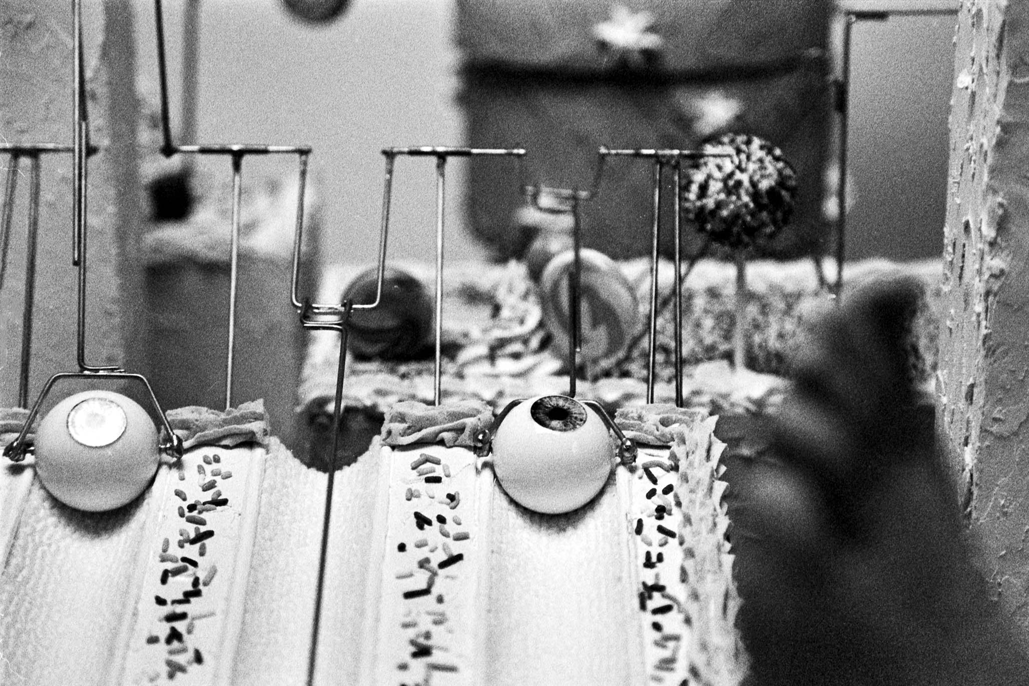 Impactist All Things Cake Photo 03