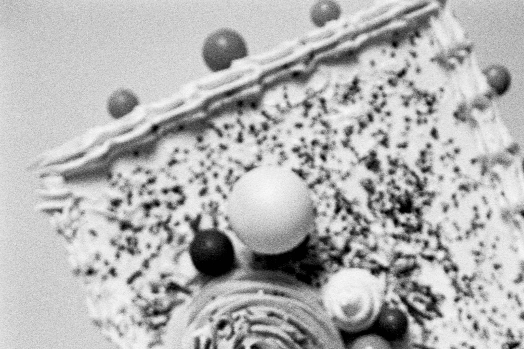 Impactist All Things Cake Photo 05