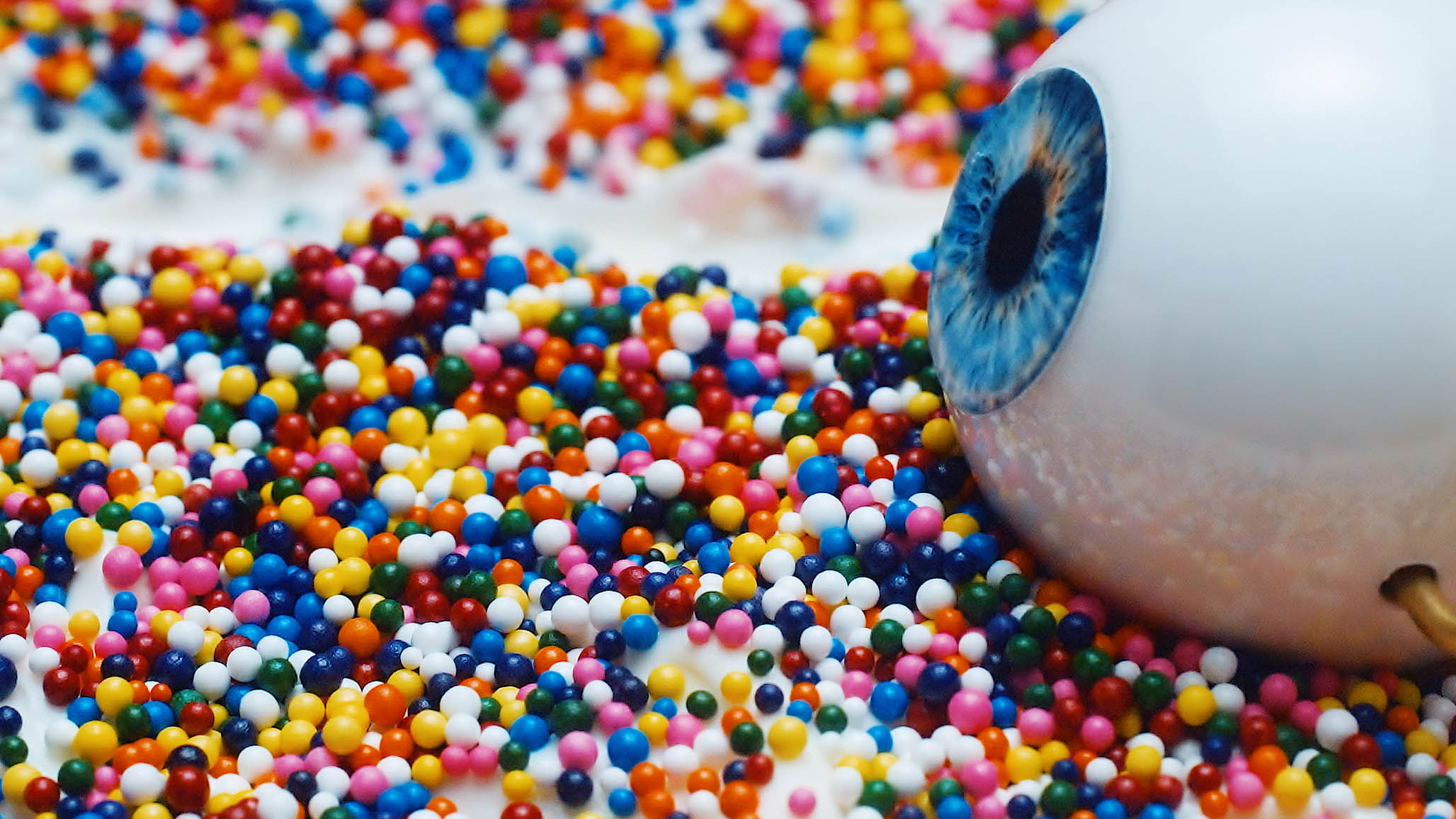 Impactist FX CAKE Season 5 Still Frame 39