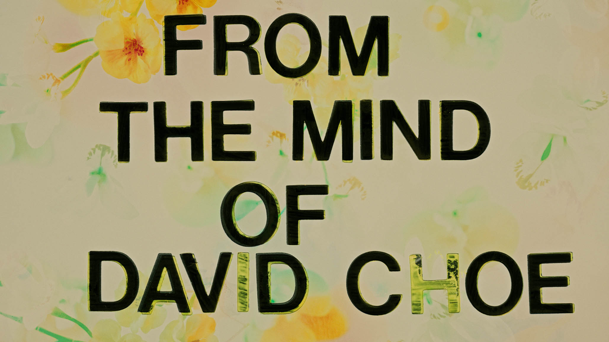 Impactist - FX The Choe Show Still Frame 50