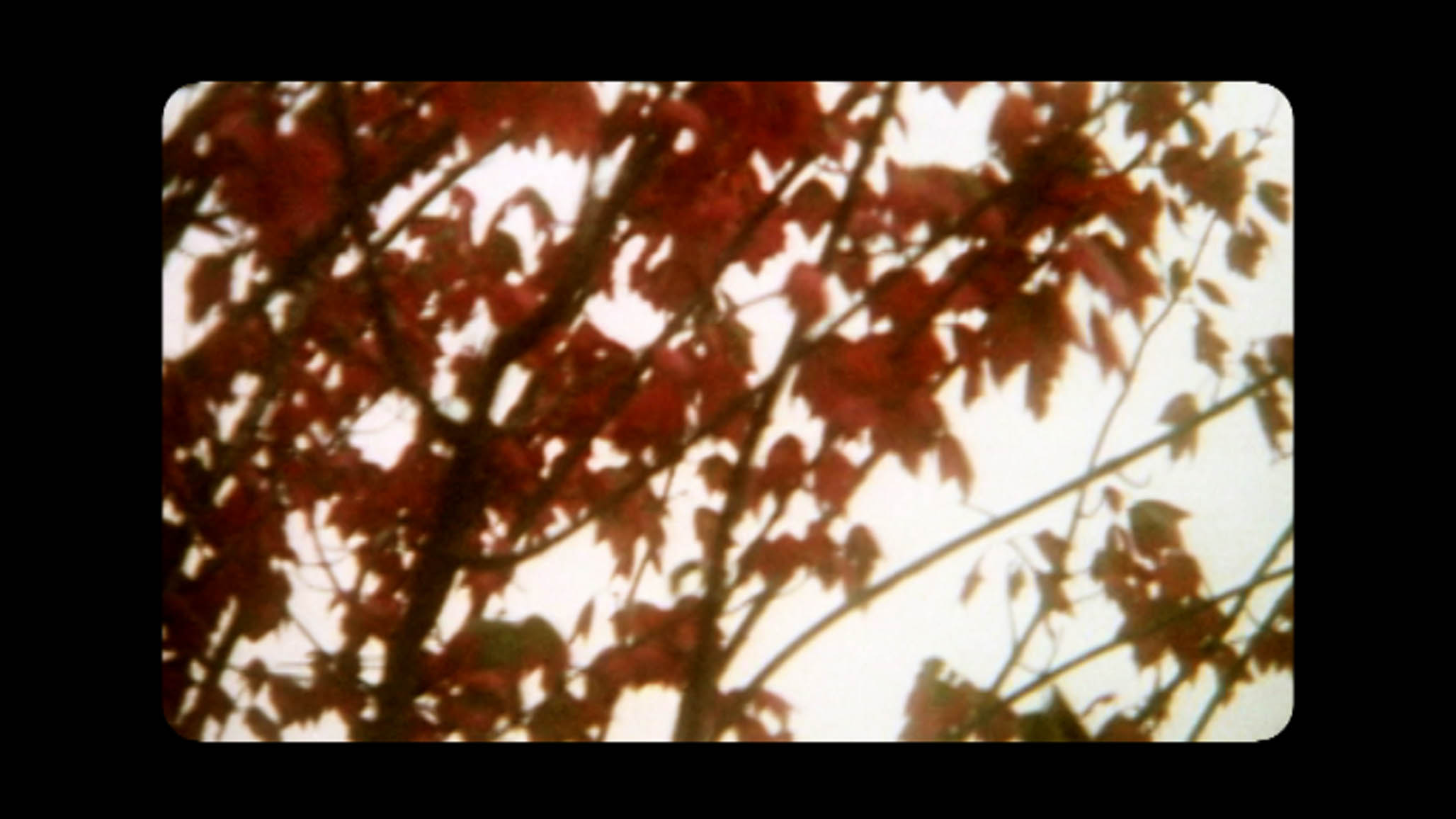 Impactist Collection Still Frame 02