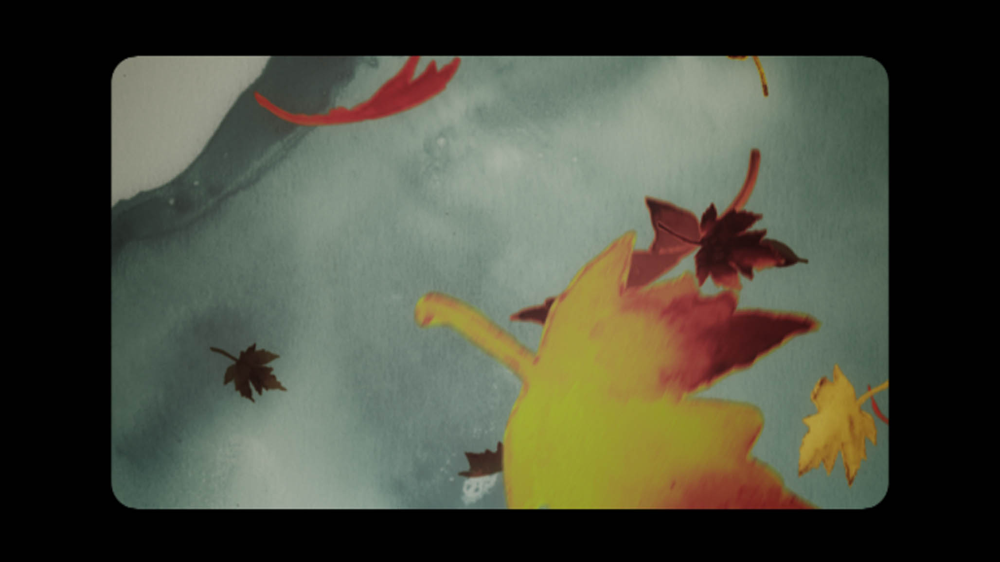 Impactist Collection Still Frame 04