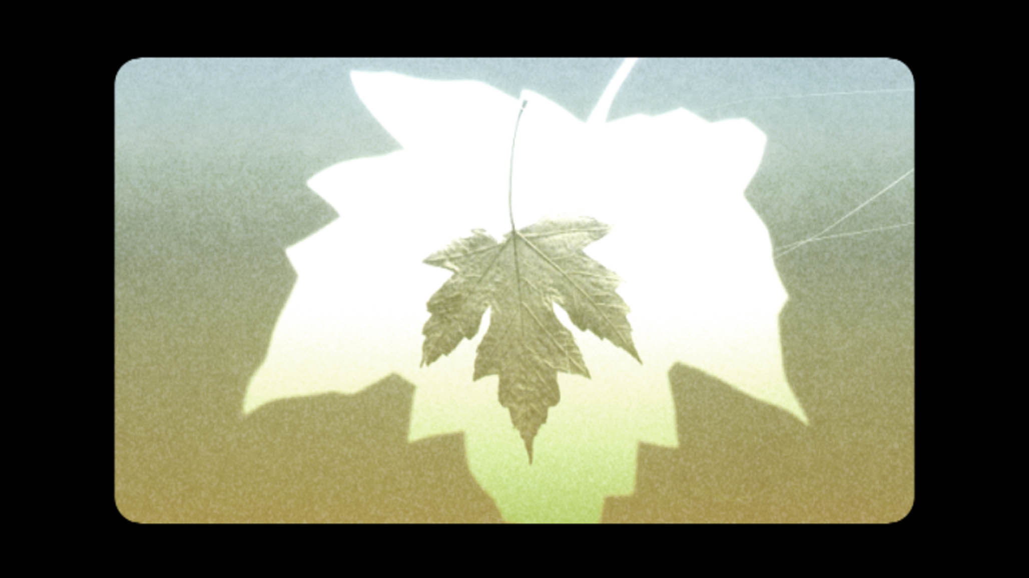Impactist Collection Still Frame 05