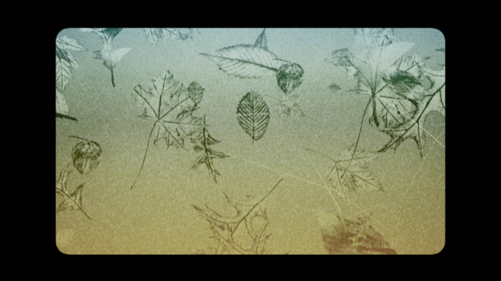 Impactist Collection Still Frame 07