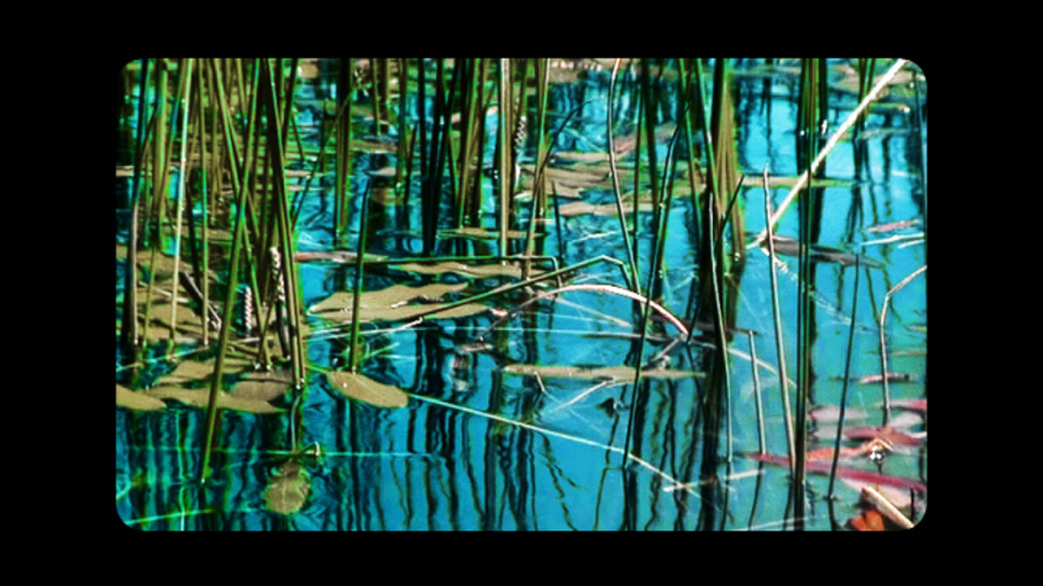 Impactist Collection Still Frame 08