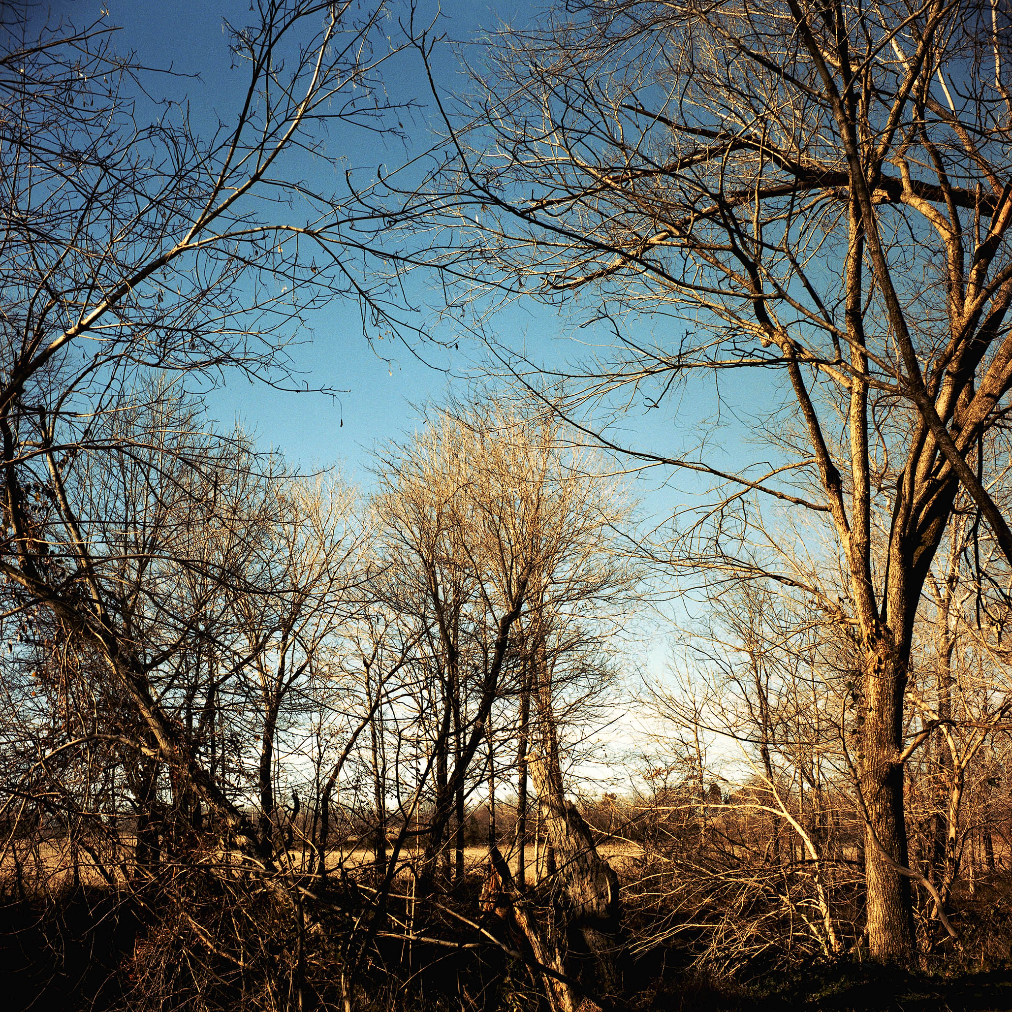 Impactist County 27 Image 08