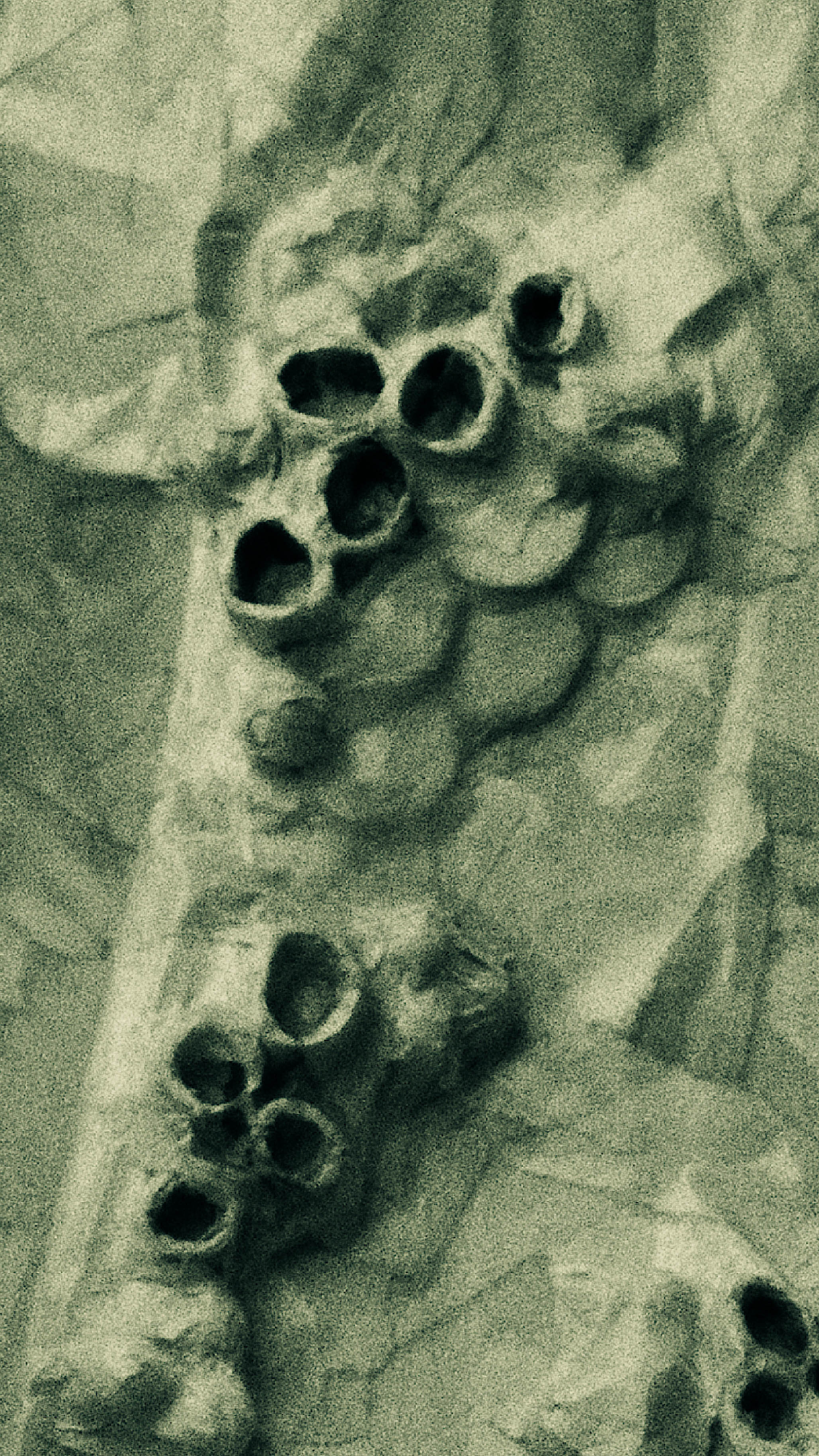 Impactist Doses Sculptures Image 03