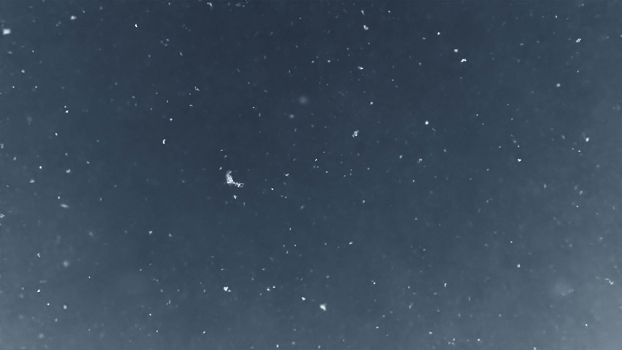 Impactist - Cartoon Network - “Snow Song” still