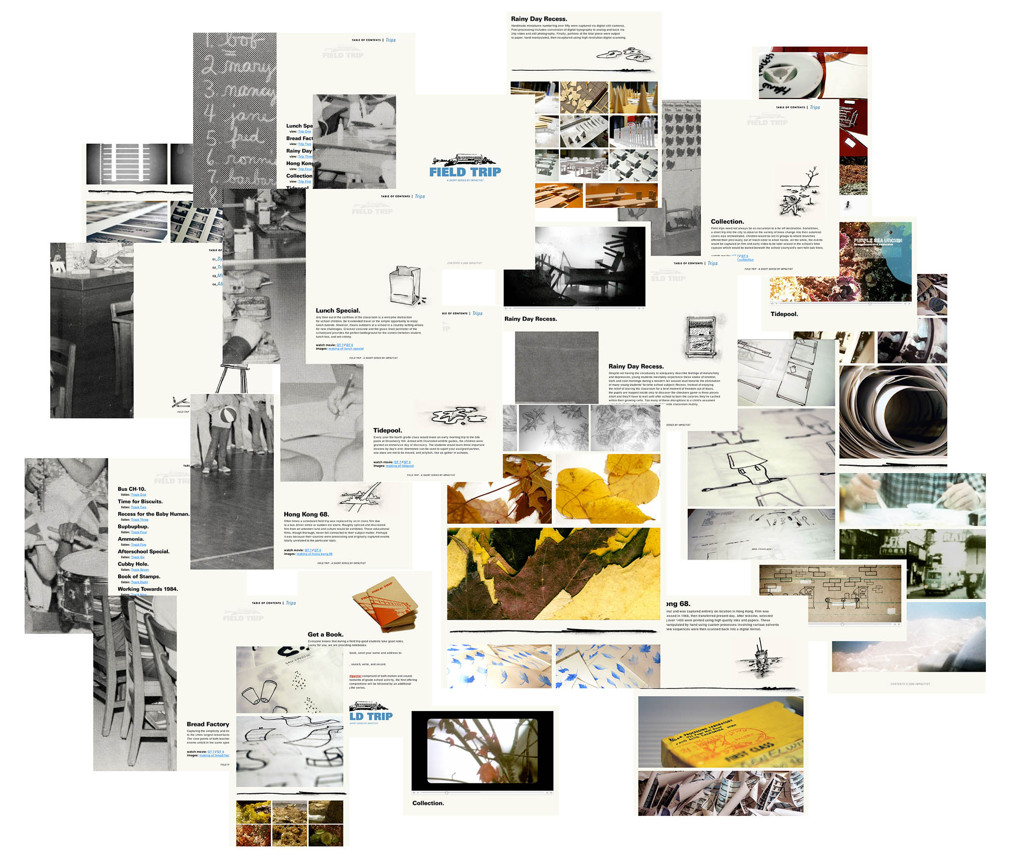 Impactist Field Trip Website Image