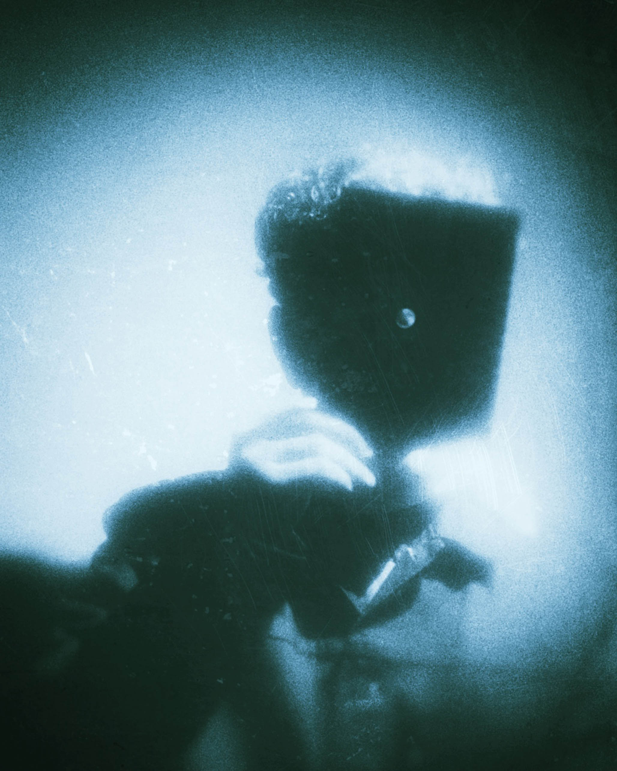 Impactist Hybrid Image 02