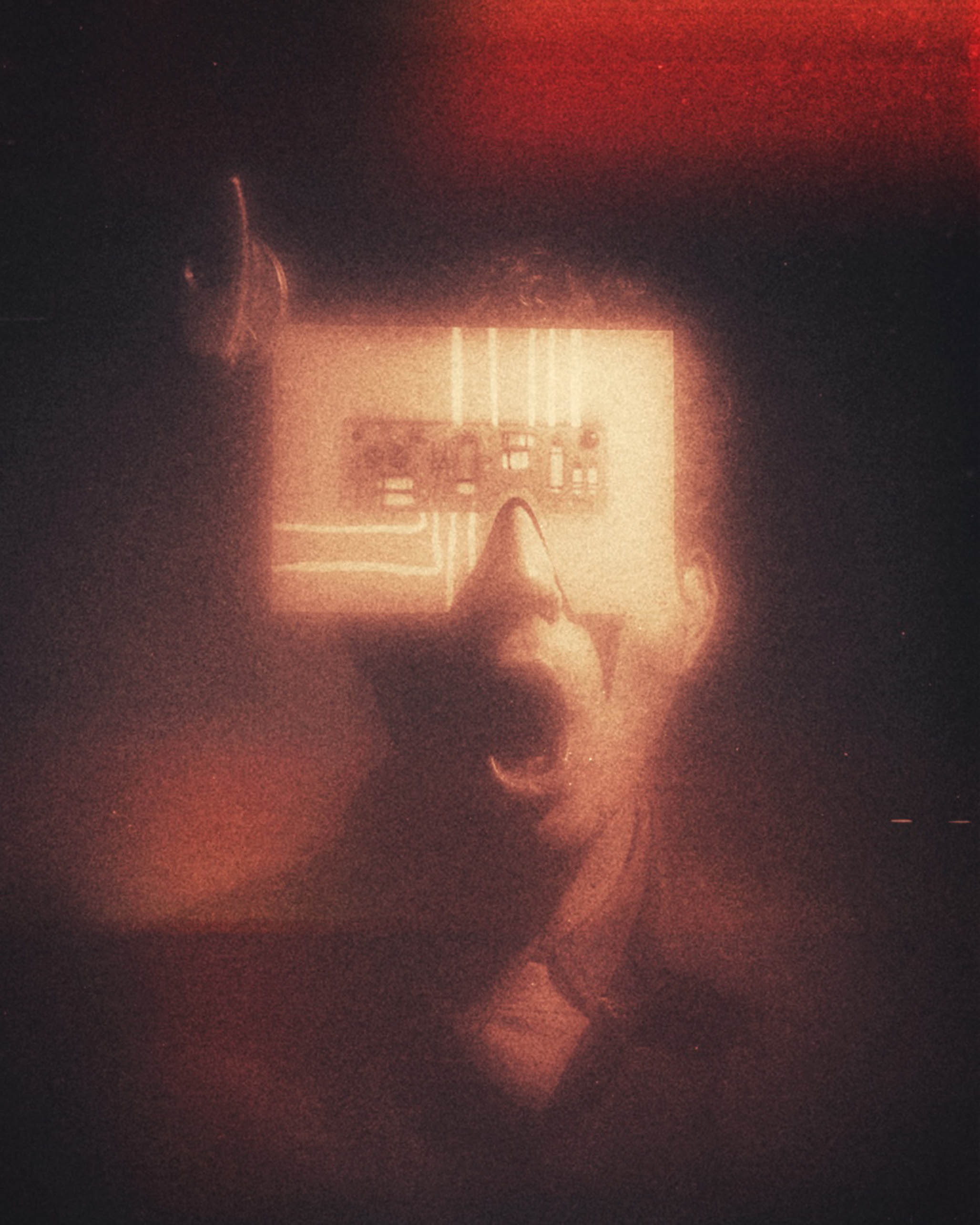 Impactist Hybrid Image 11