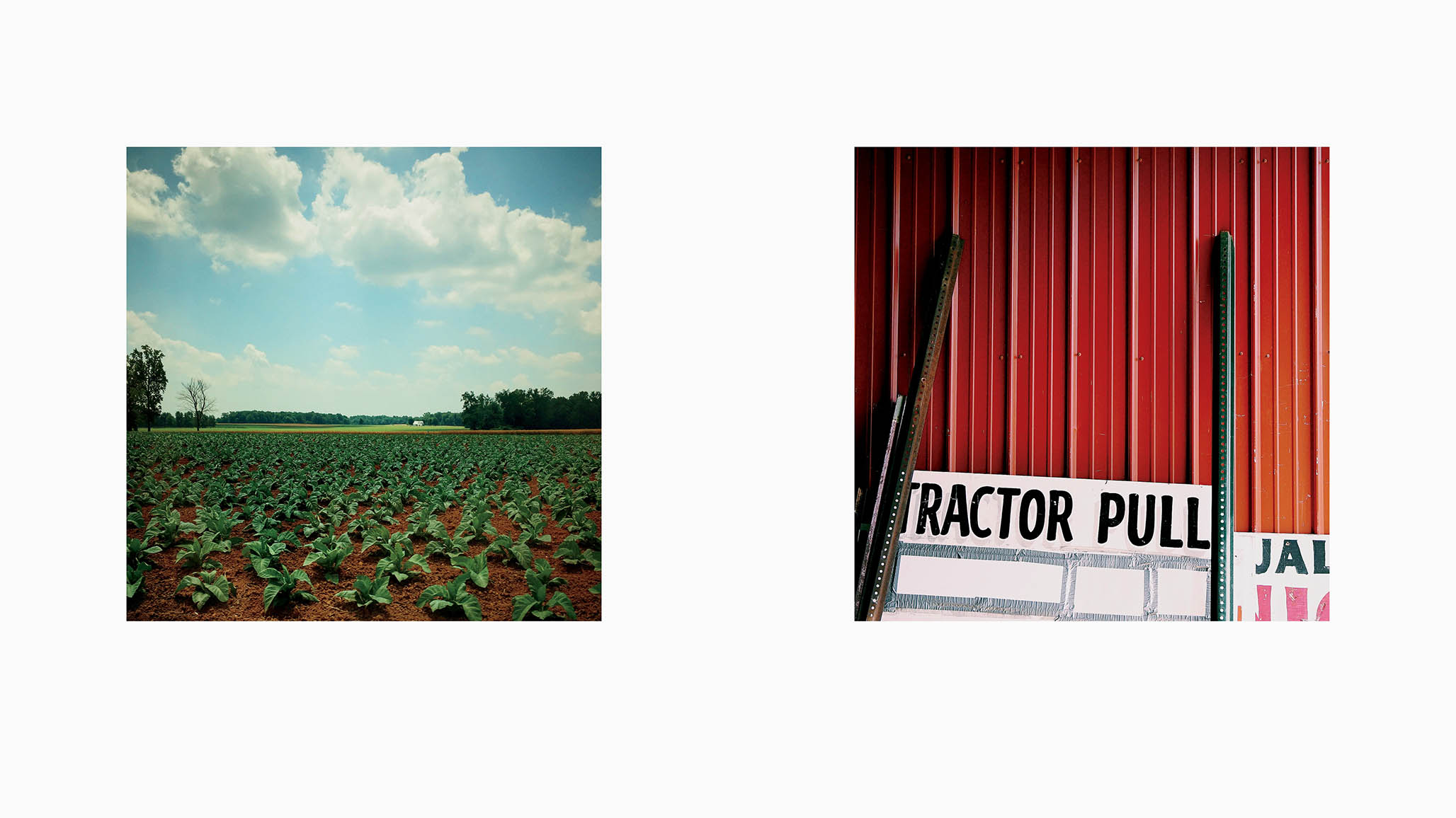 Impactigram Pair 16