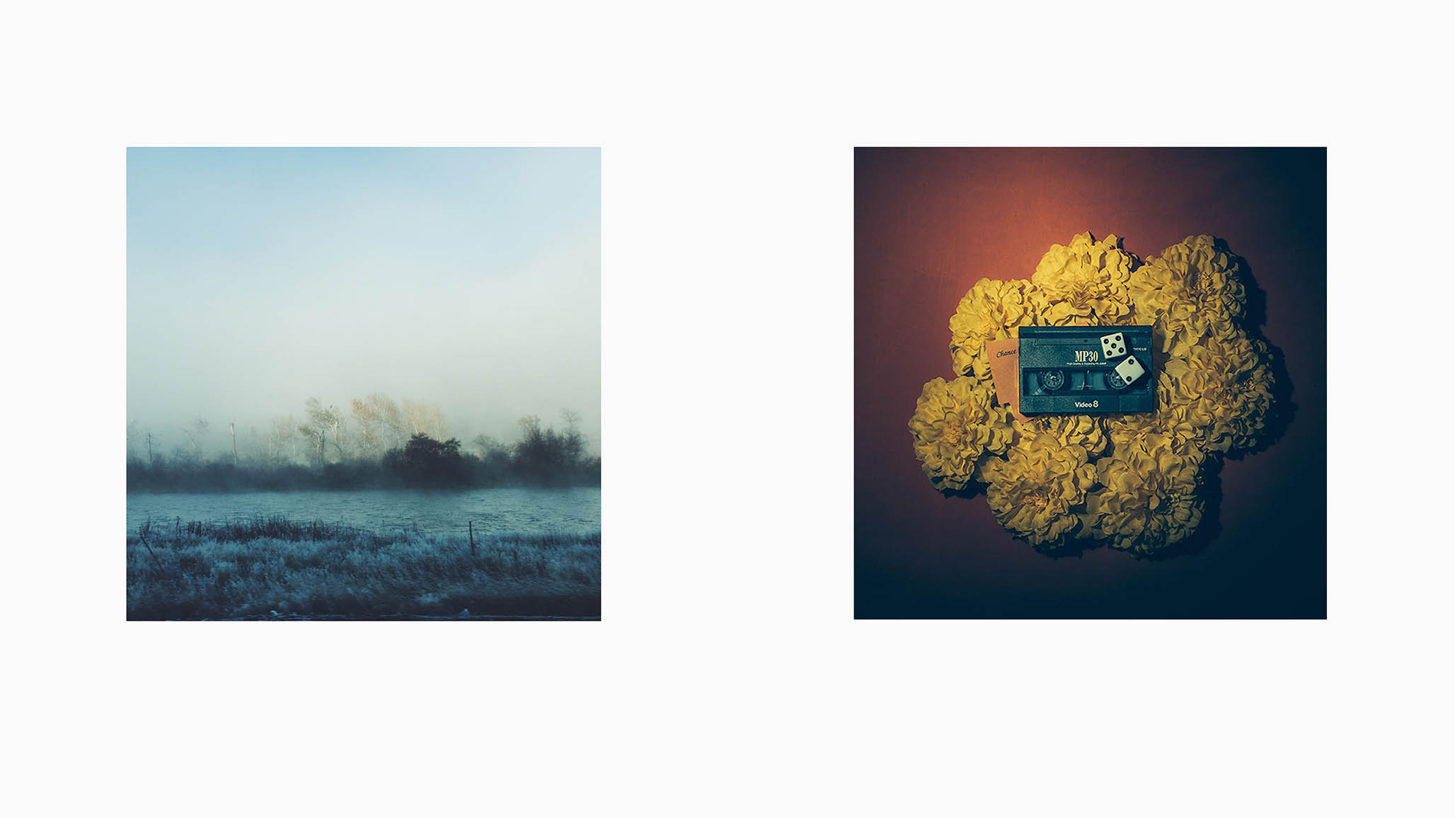 Impactigram Pair 06