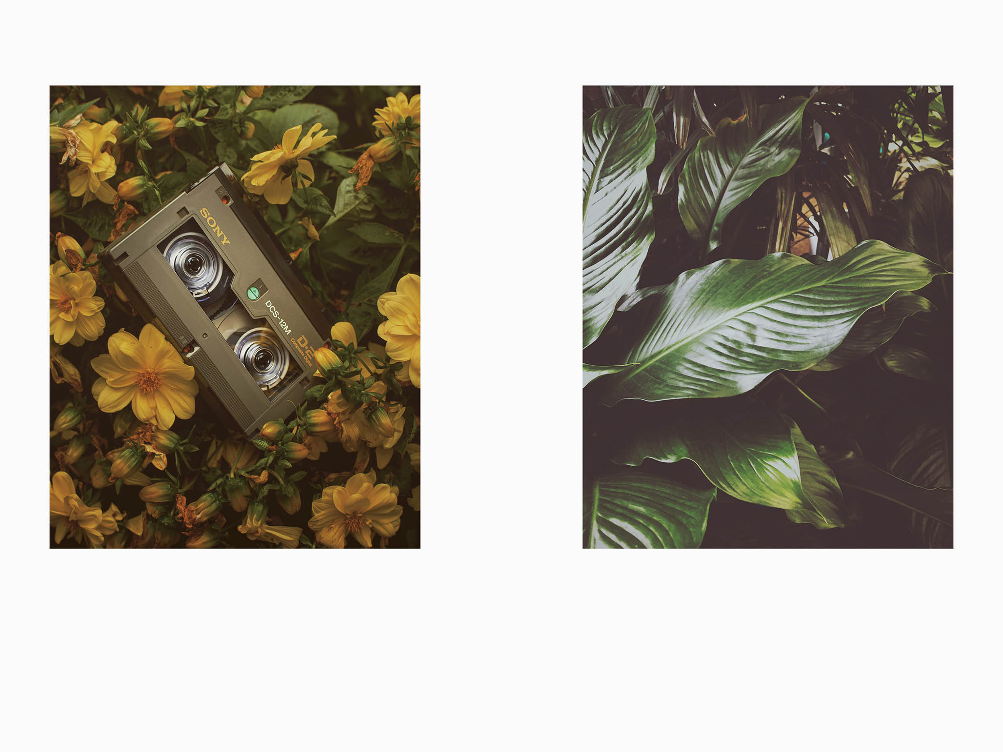 Impactigram Pair 36