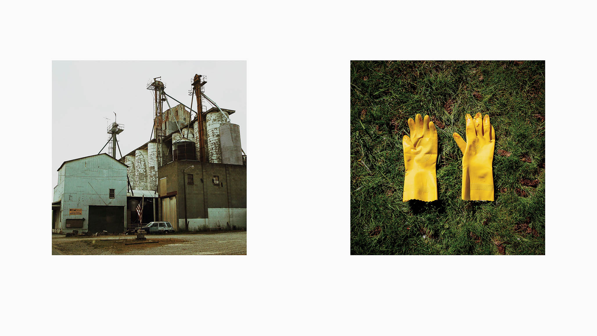 Impactigram Pair 04