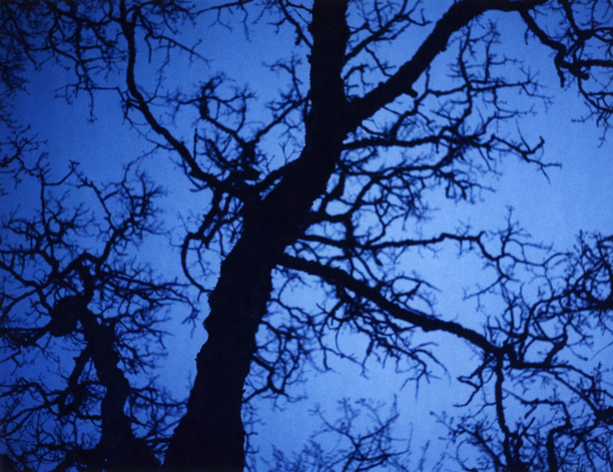 Impactist Imperfections & the 600SE Image 02