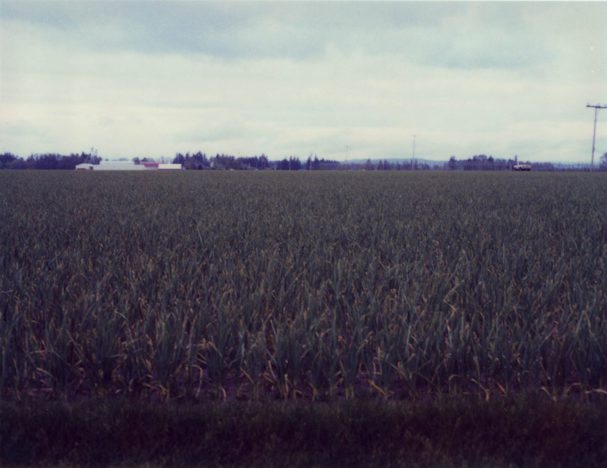 Impactist Imperfections & the 600SE Image 10