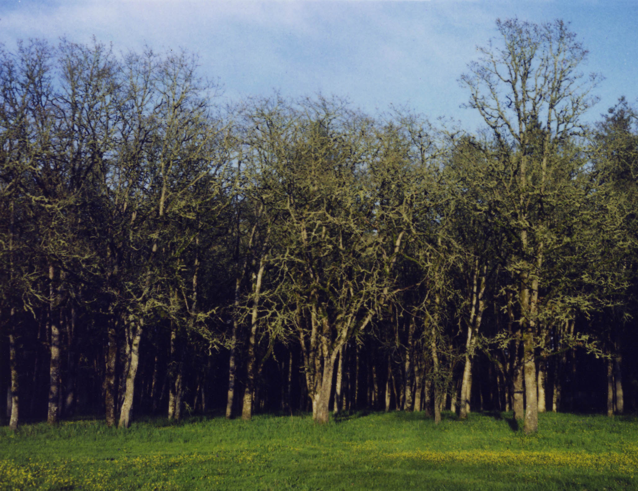 Impactist Imperfections & the 600SE Image 15