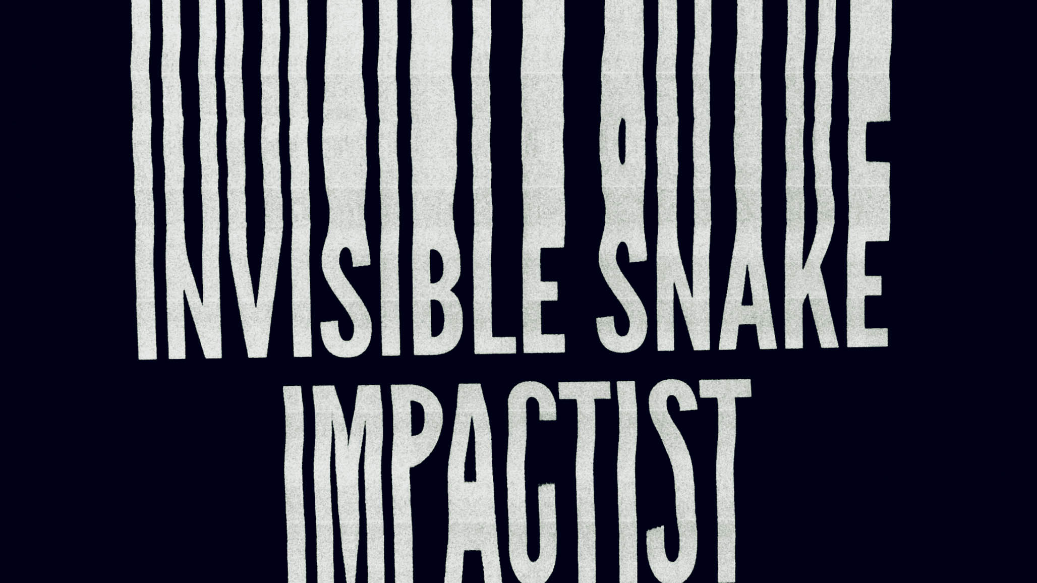 Impactist Invisible Snake Still Frame 19