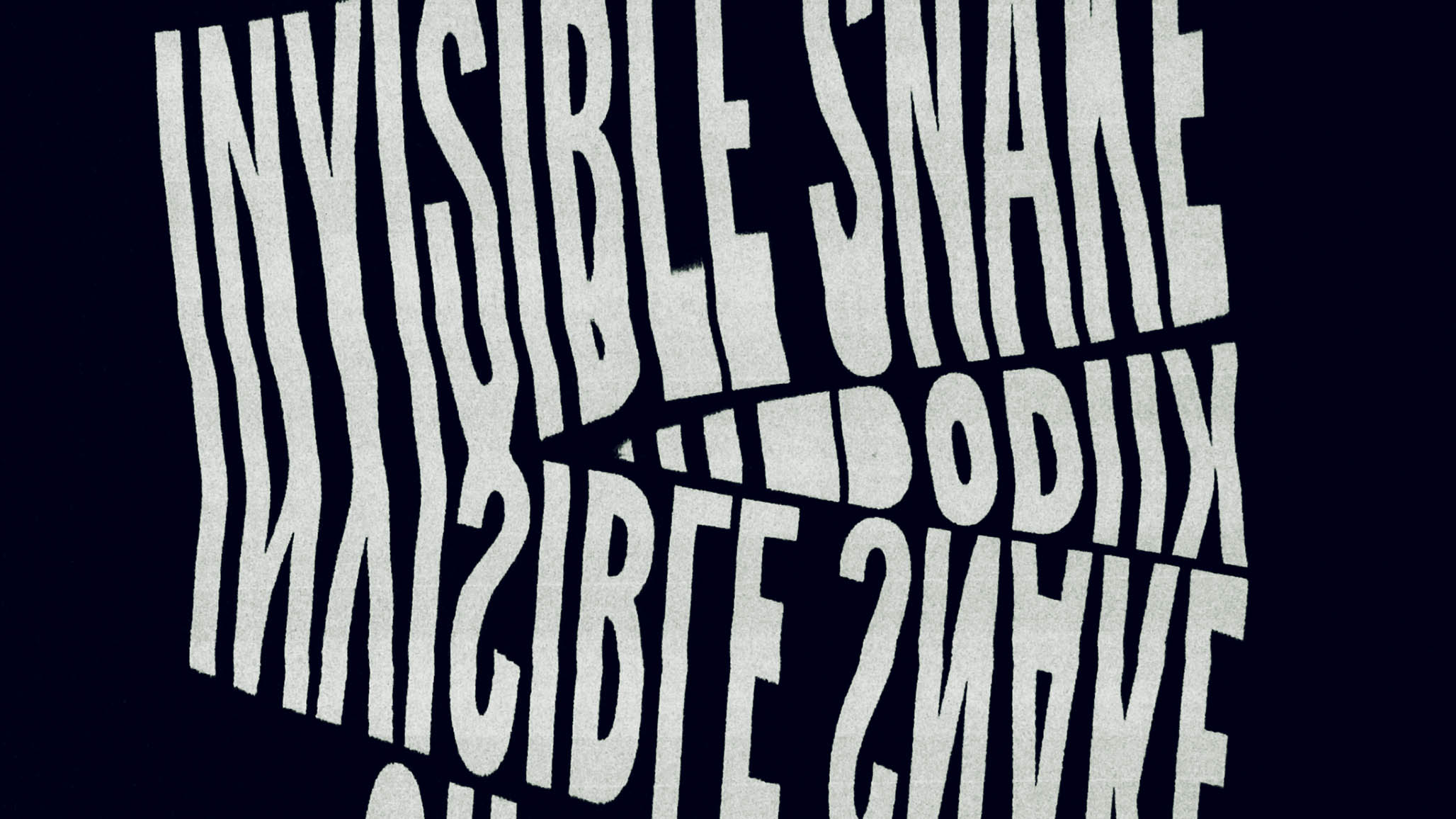 Impactist Invisible Snake Still Frame 15