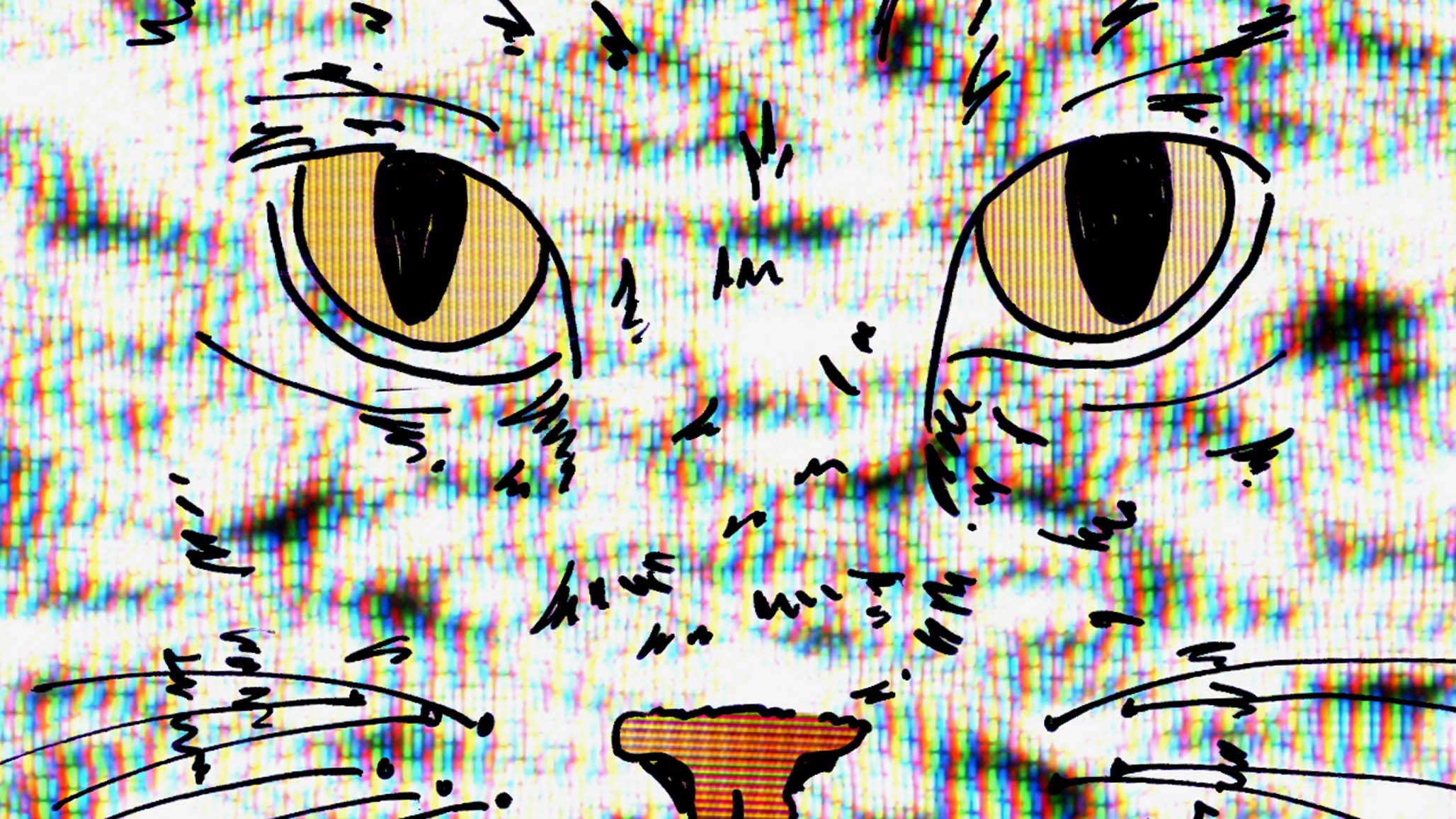 Impactist Cat Dream Still Frame 02