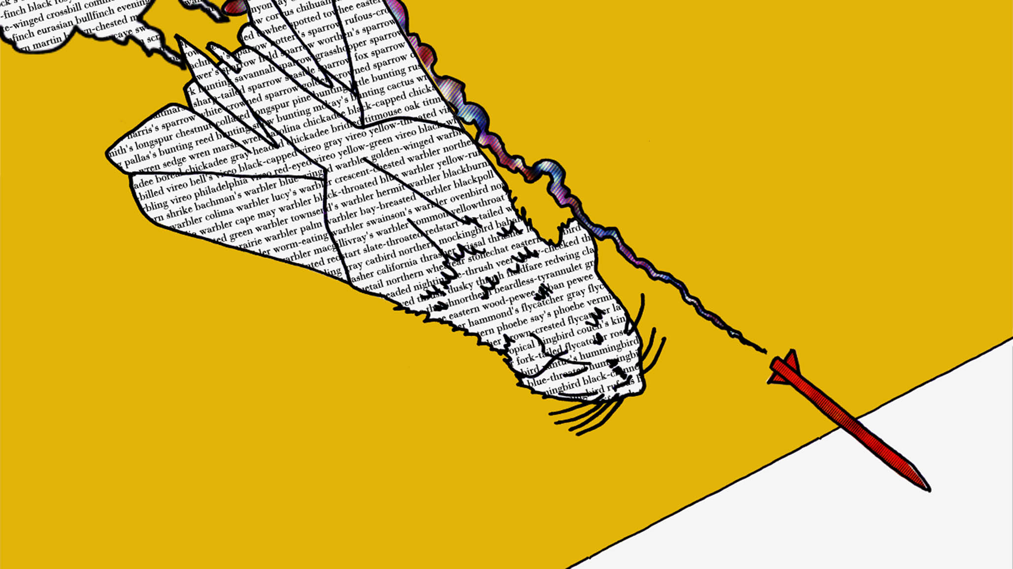 Impactist Cat Dream Still Frame 03