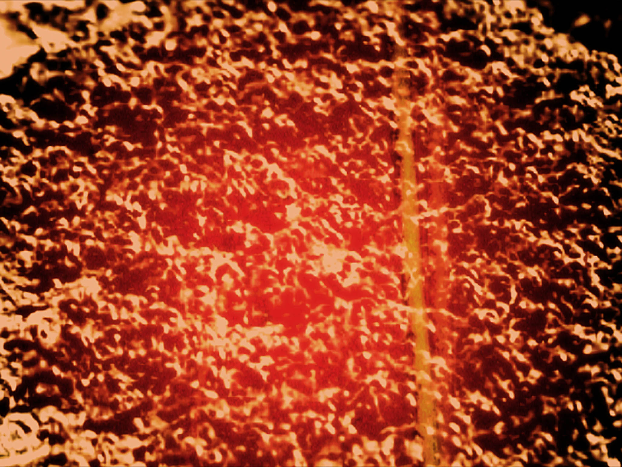 Impactist Lunch Special Still Frame 02