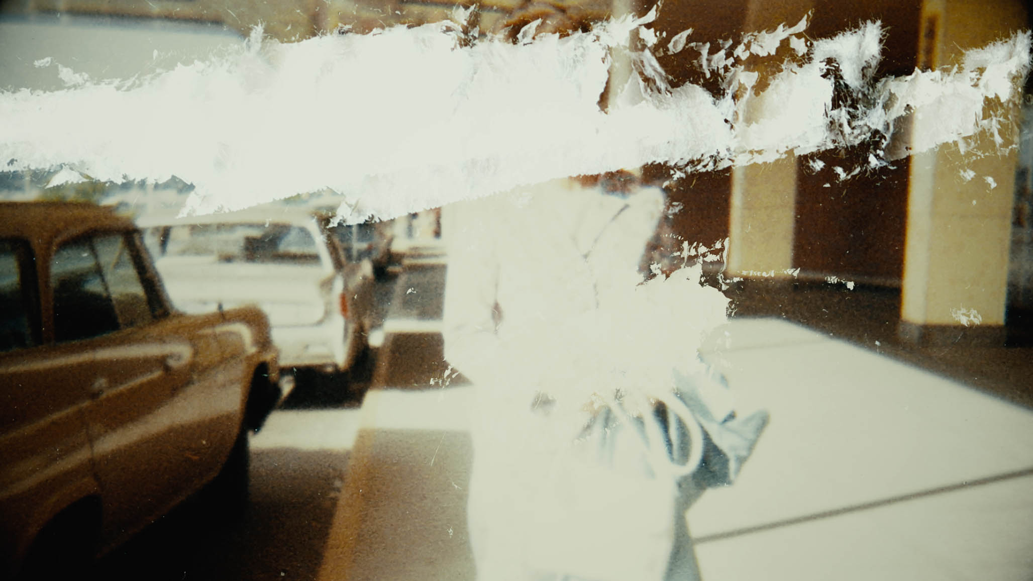 Impactist FX The Most Dangerous Animal of All Still Frame 15