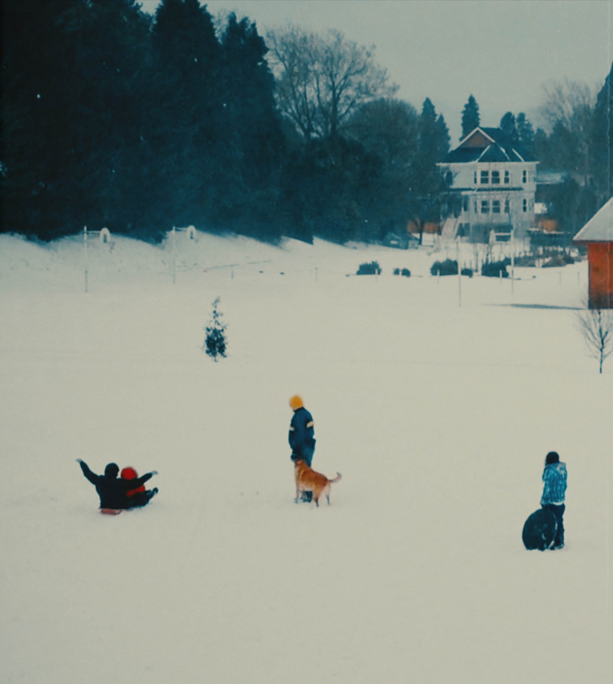 Impactist - Lost Recordings - “Sledding” artwork