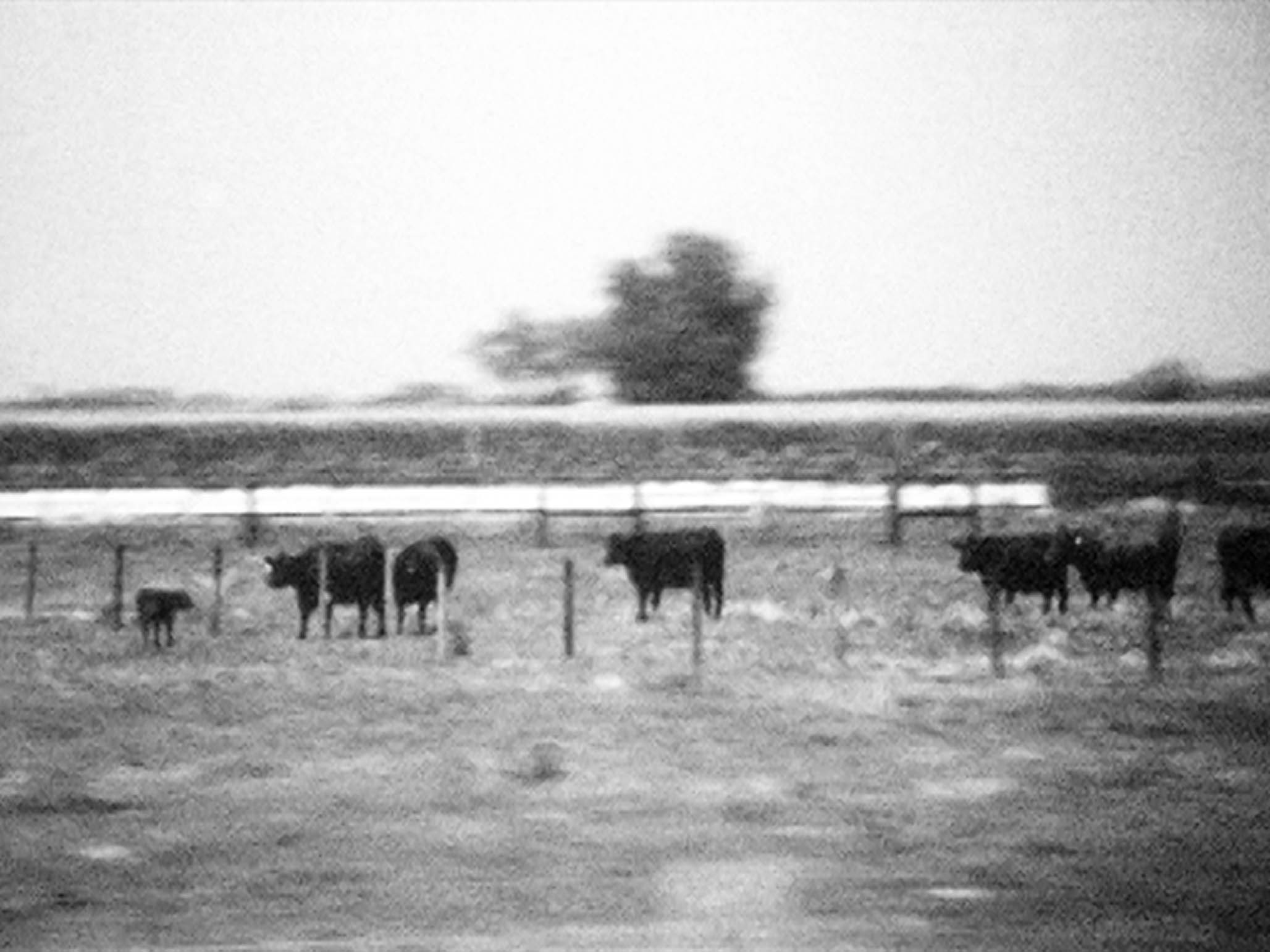 Impactist Nebraska Still Frame 07