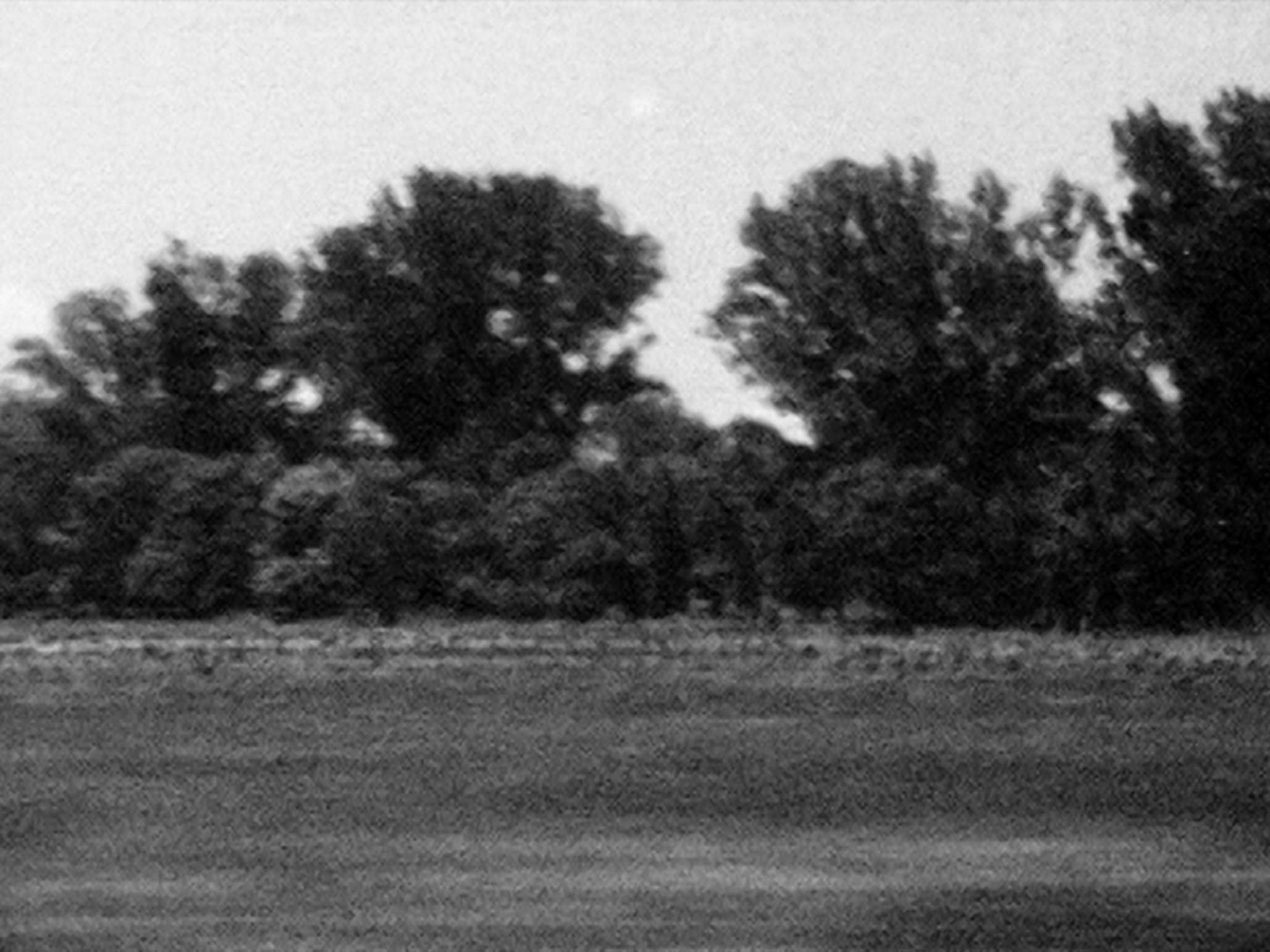 Impactist Nebraska Still Frame 08
