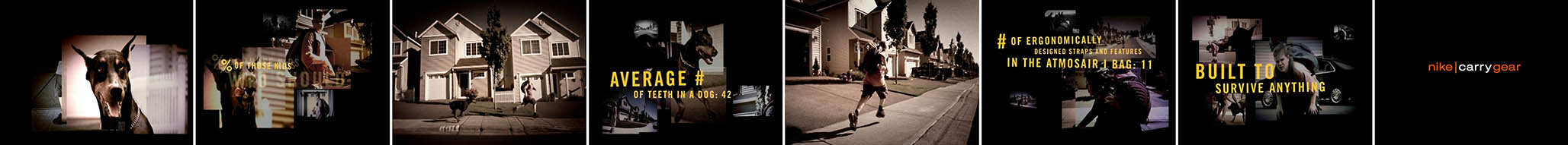 Impactist Nike Carrygear Frames
