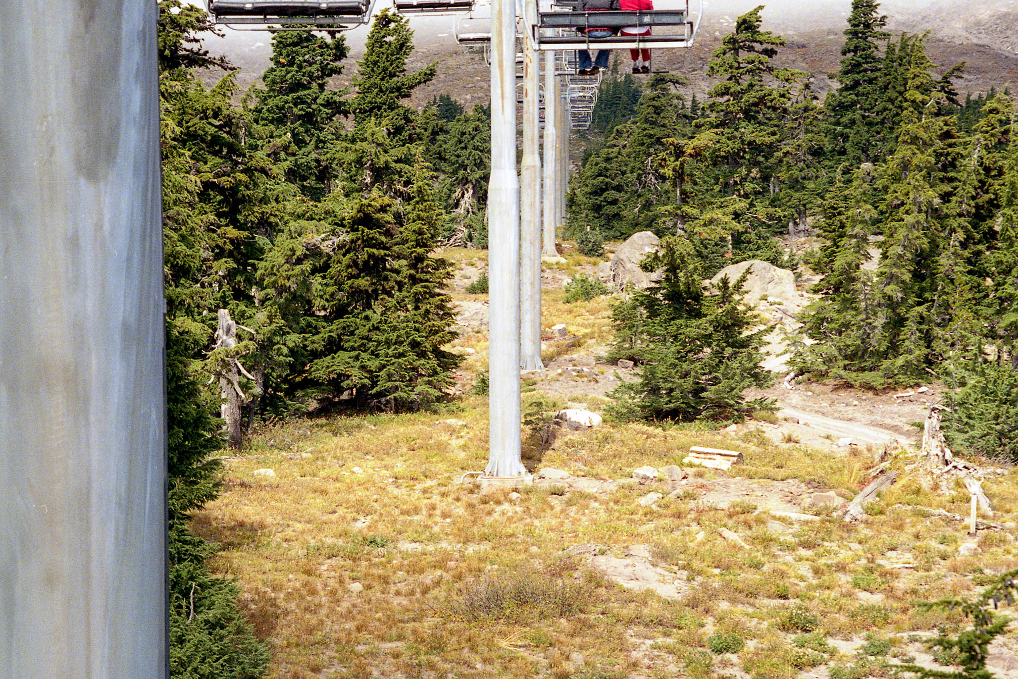 Impactist Off-season Image 06