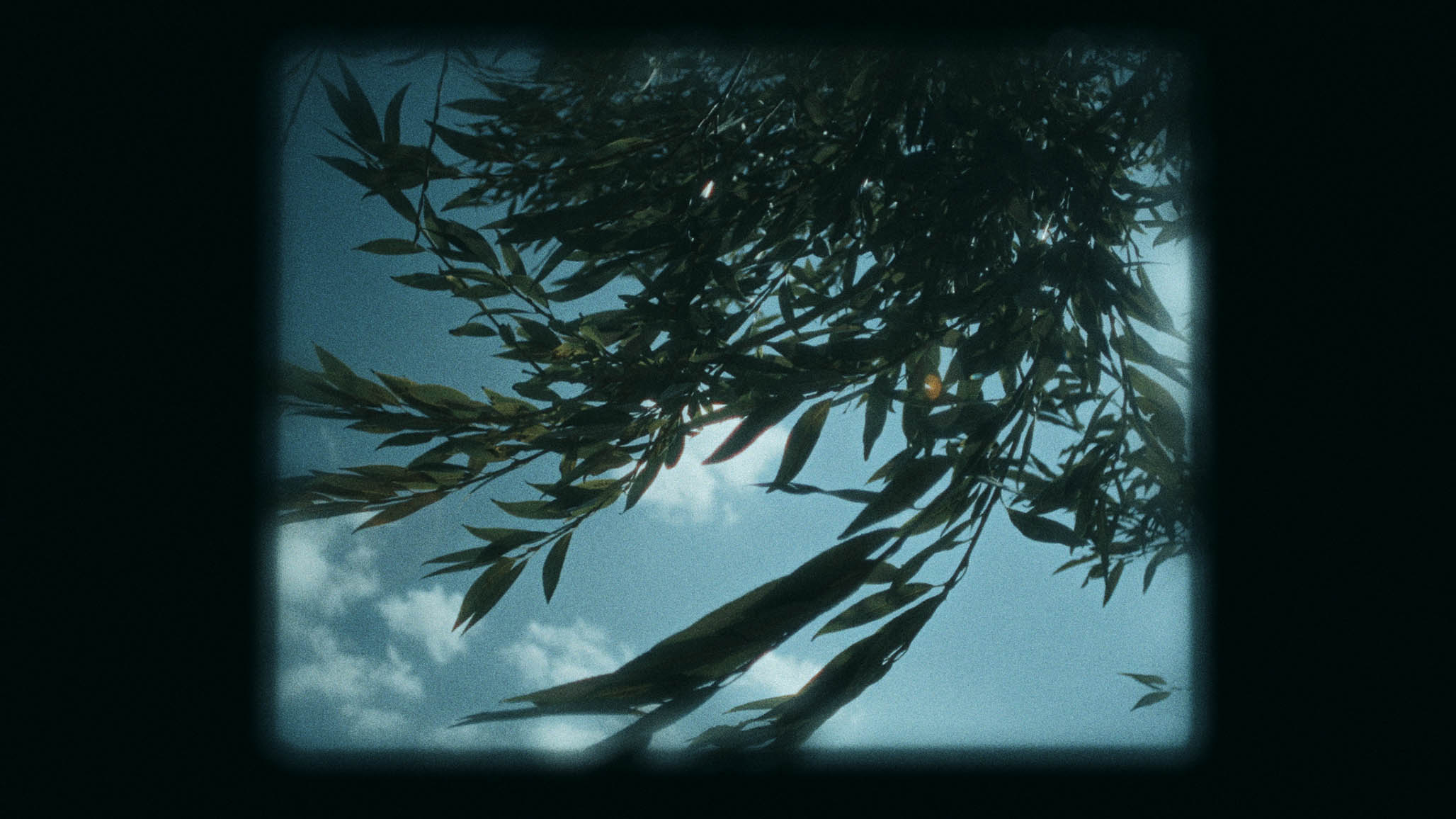 Impactist PARTICIPANT Still Frame 18