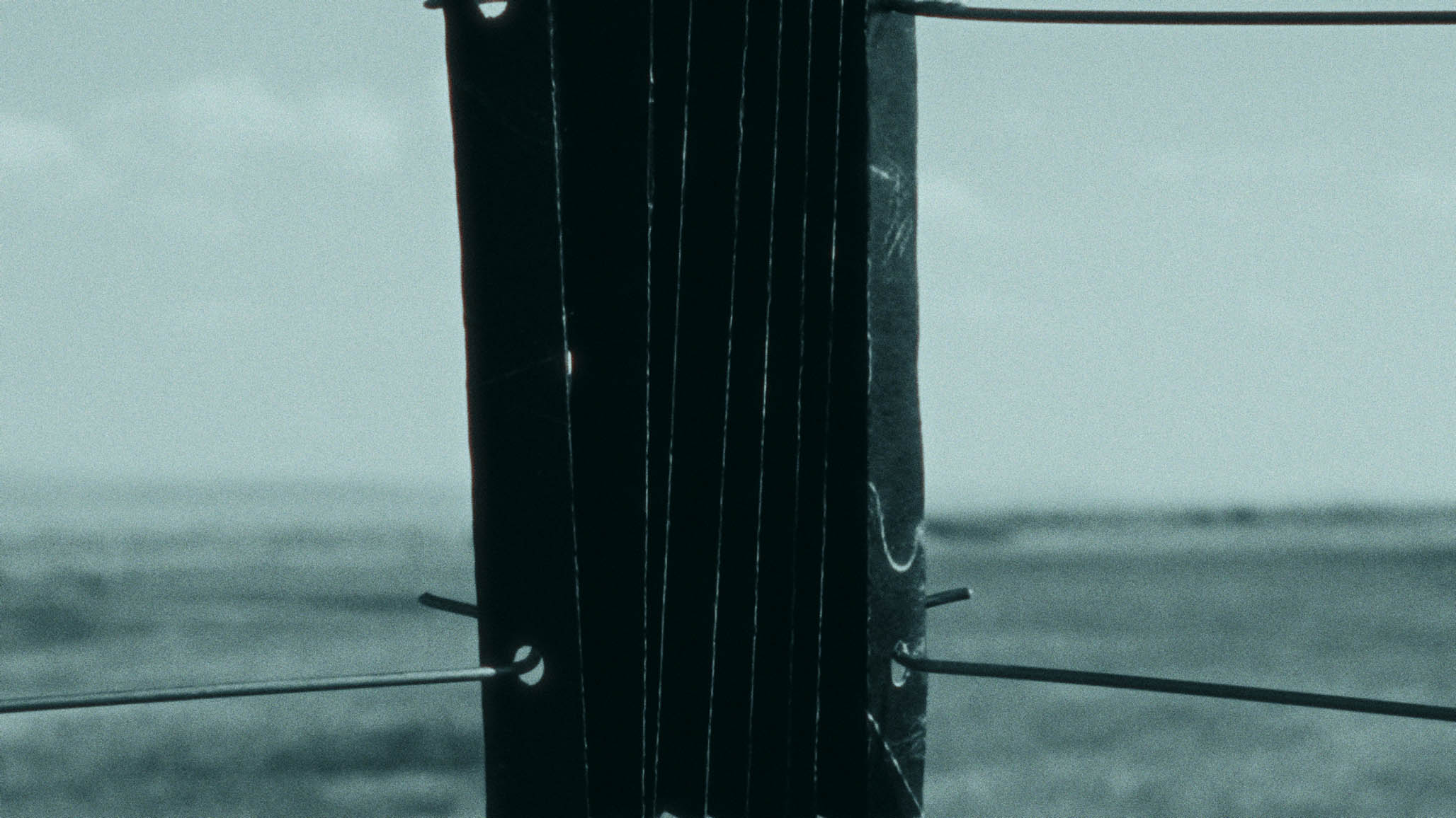 Impactist PARTICIPANT Still Frame 29
