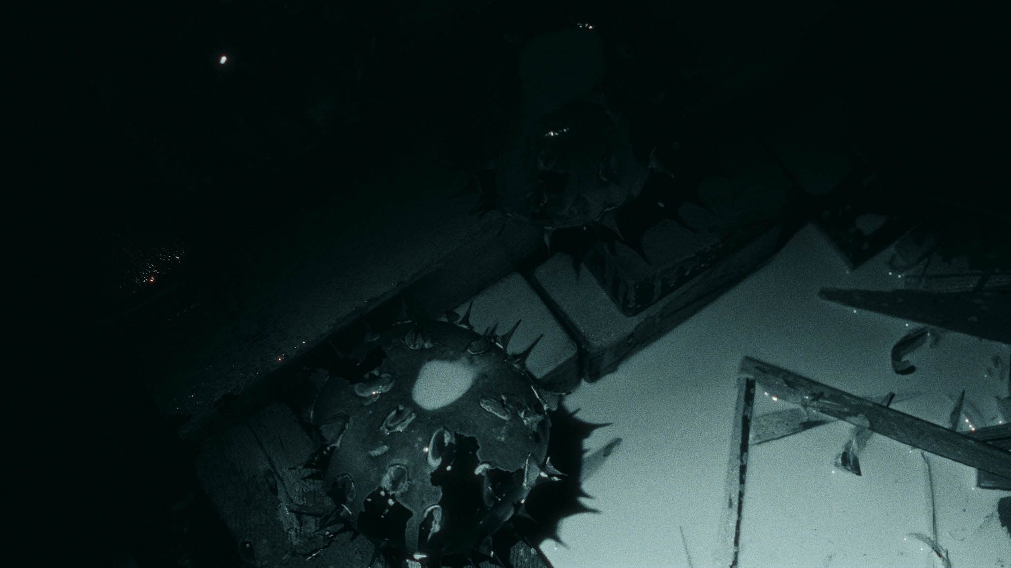Impactist PARTICIPANT Still Frame 10