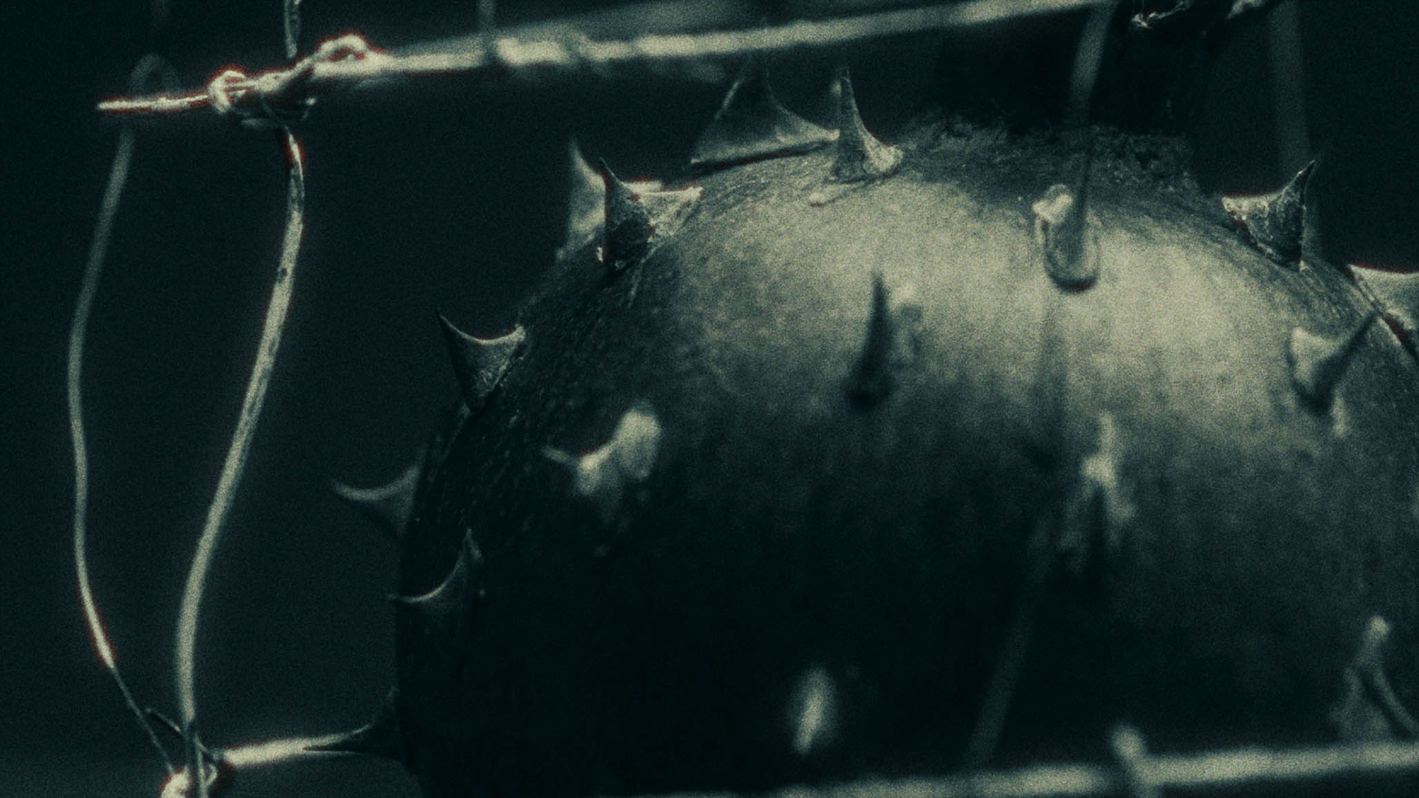 Impactist PARTICIPANT Still Frame 12