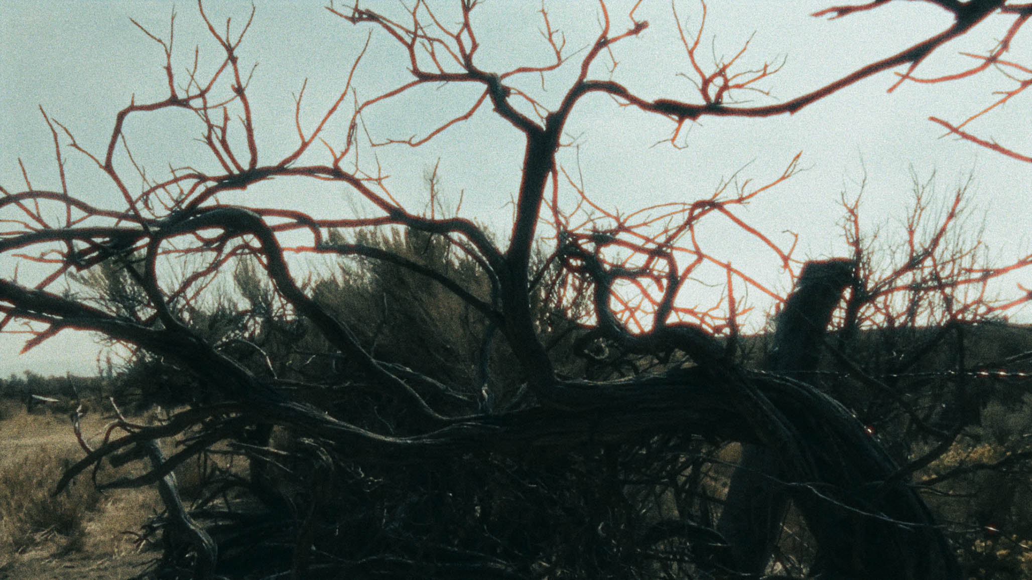 Impactist PARTICIPANT Still Frame 13