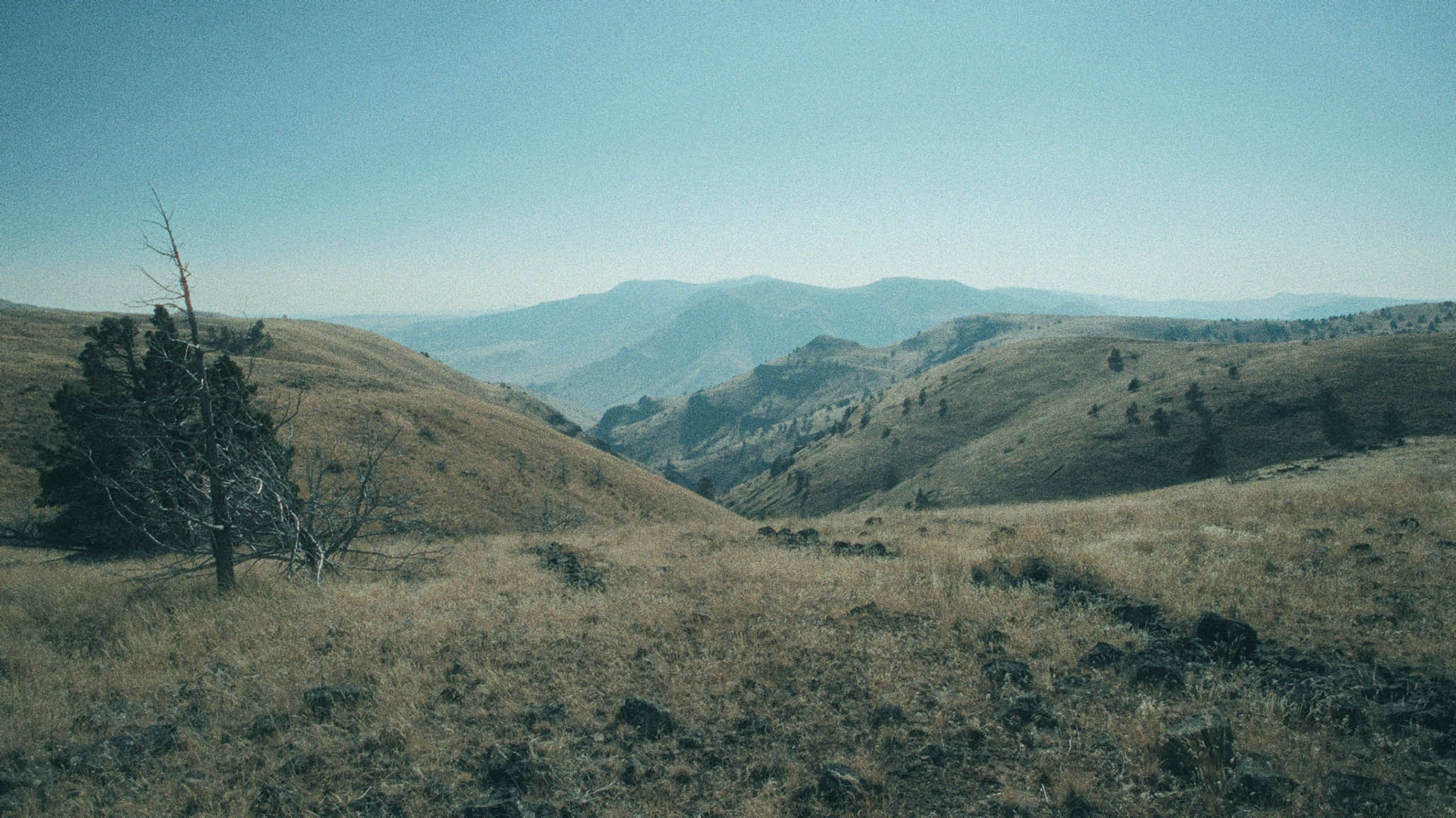 Impactist PARTICIPANT Still Frame 61