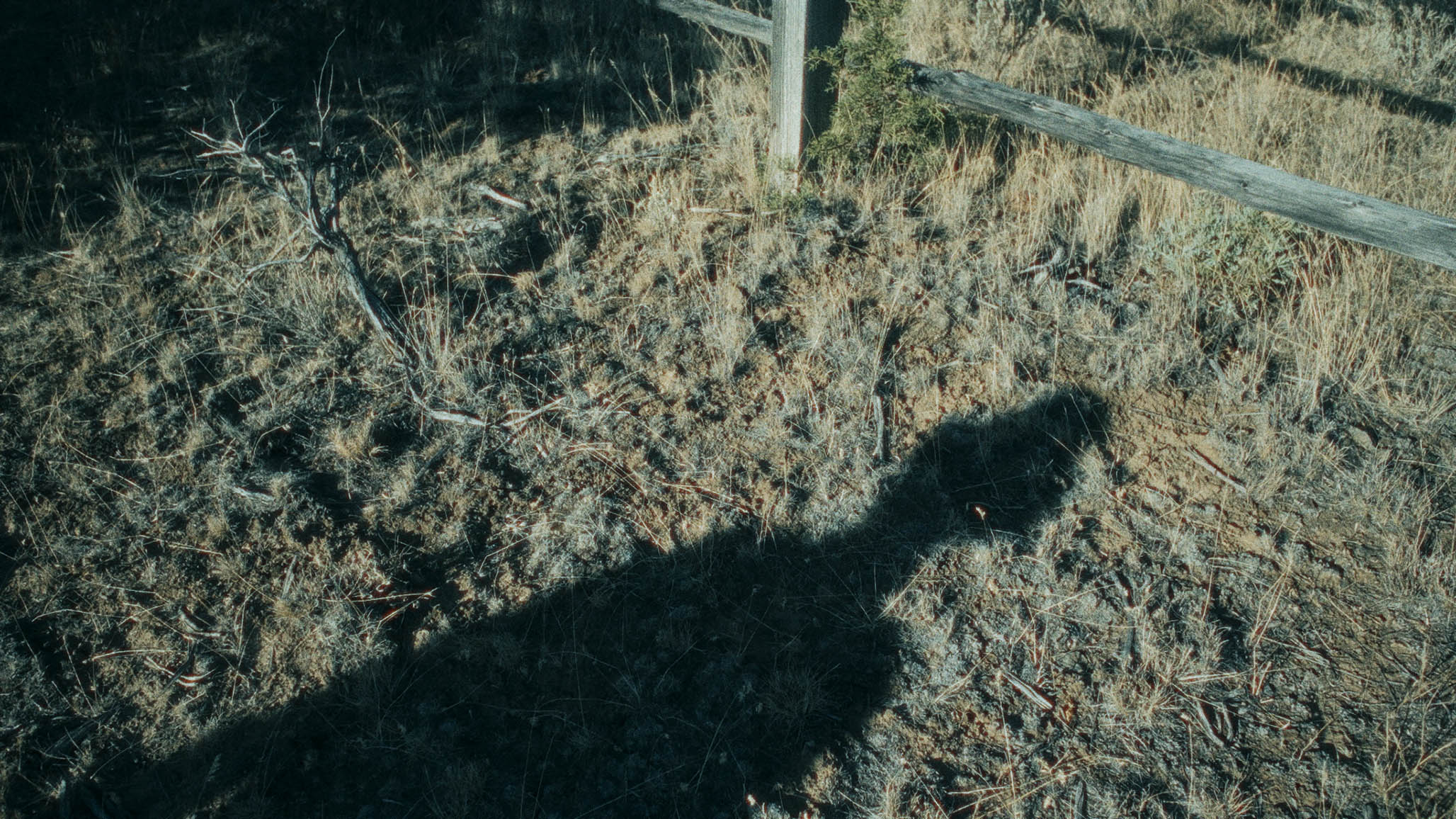 Impactist PARTICIPANT Still Frame 39
