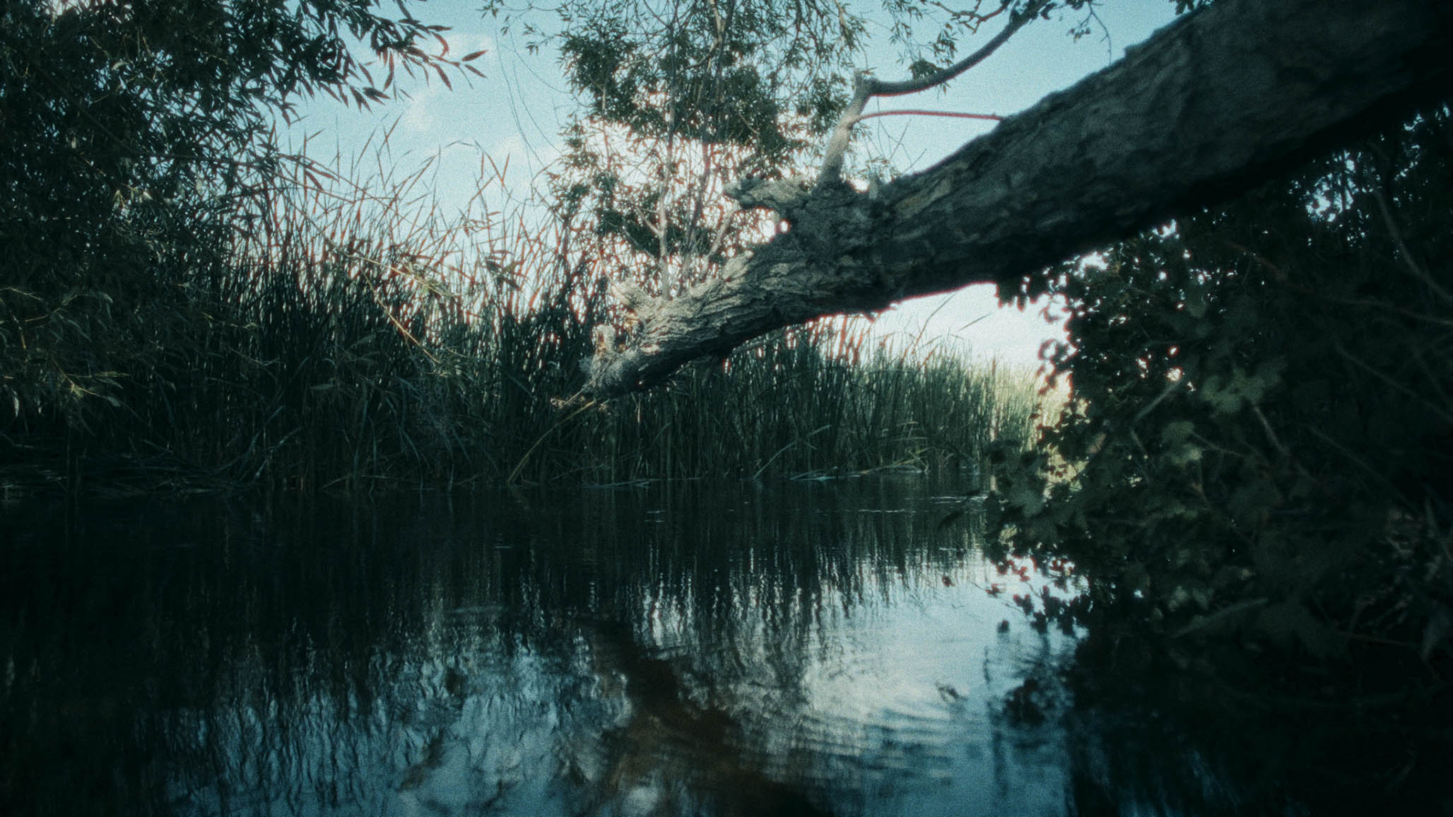 Impactist PARTICIPANT Still Frame 45