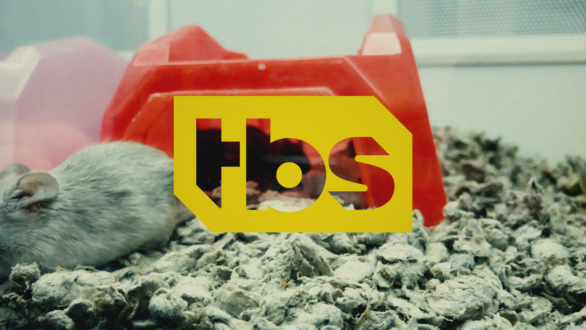 Impactist Pet Sounds Still Frame 17