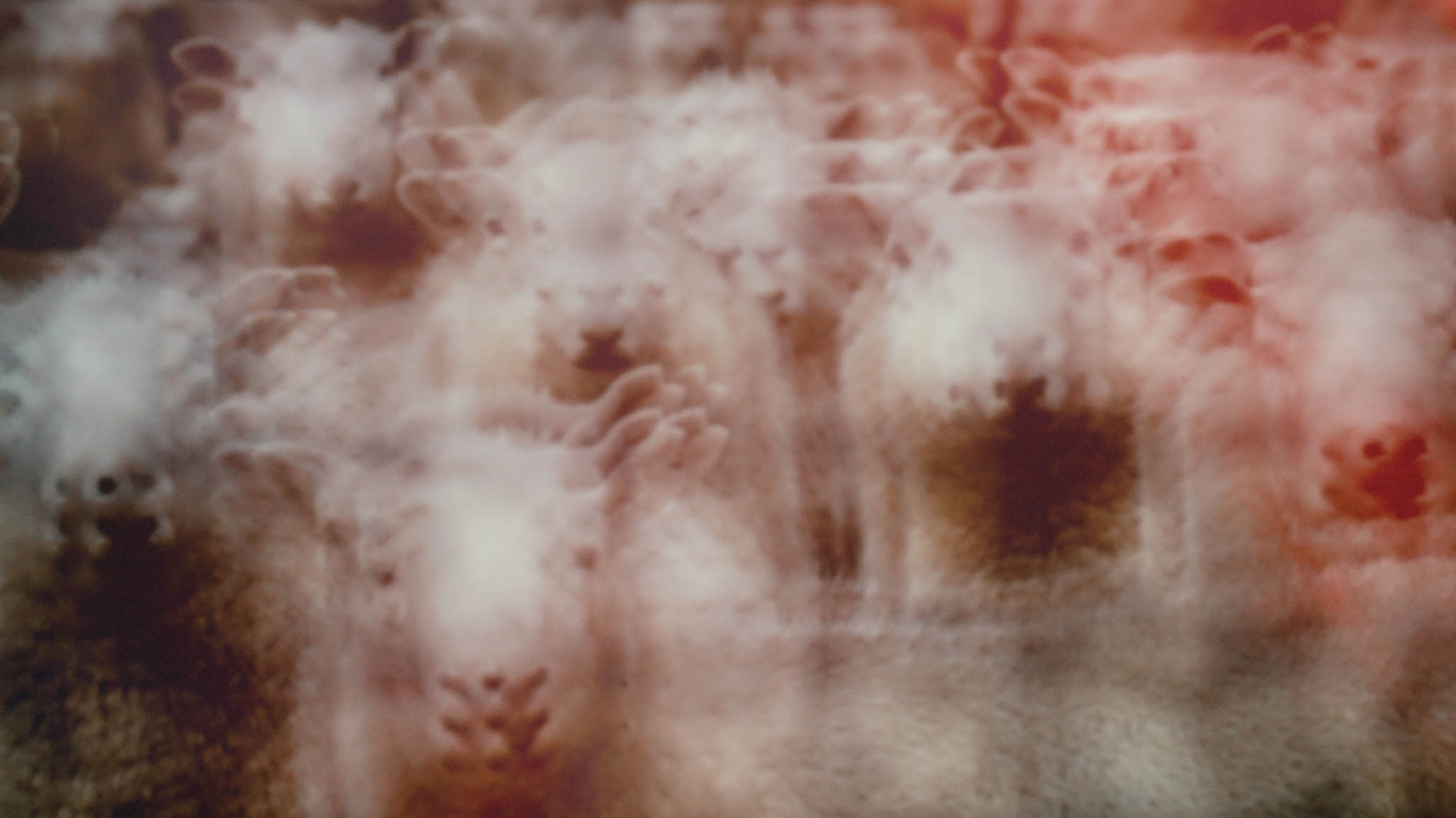 Impactist FX THE SECRETS OF HILLSONG Still Frame 10
