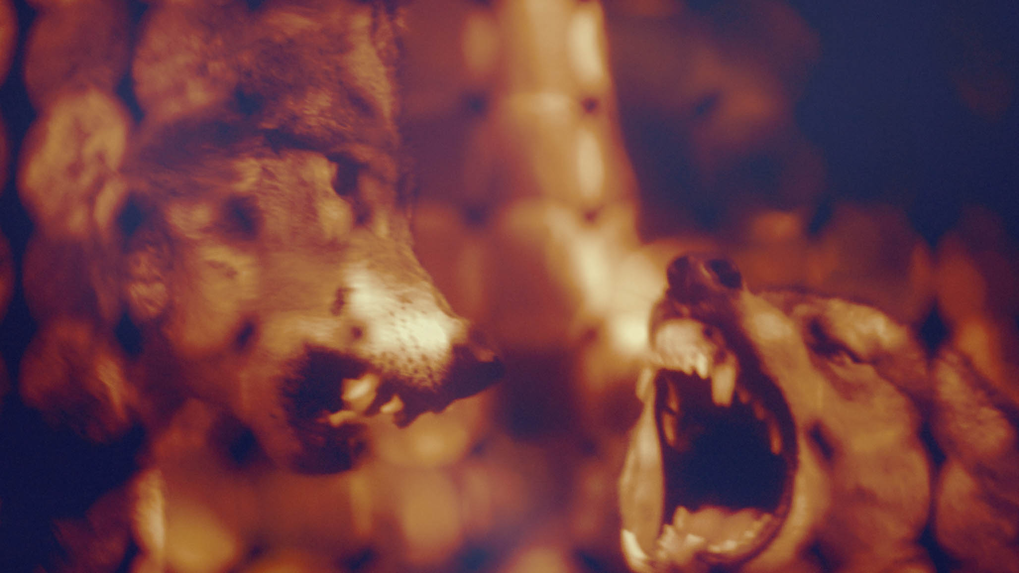 Impactist FX THE SECRETS OF HILLSONG Still Frame 22