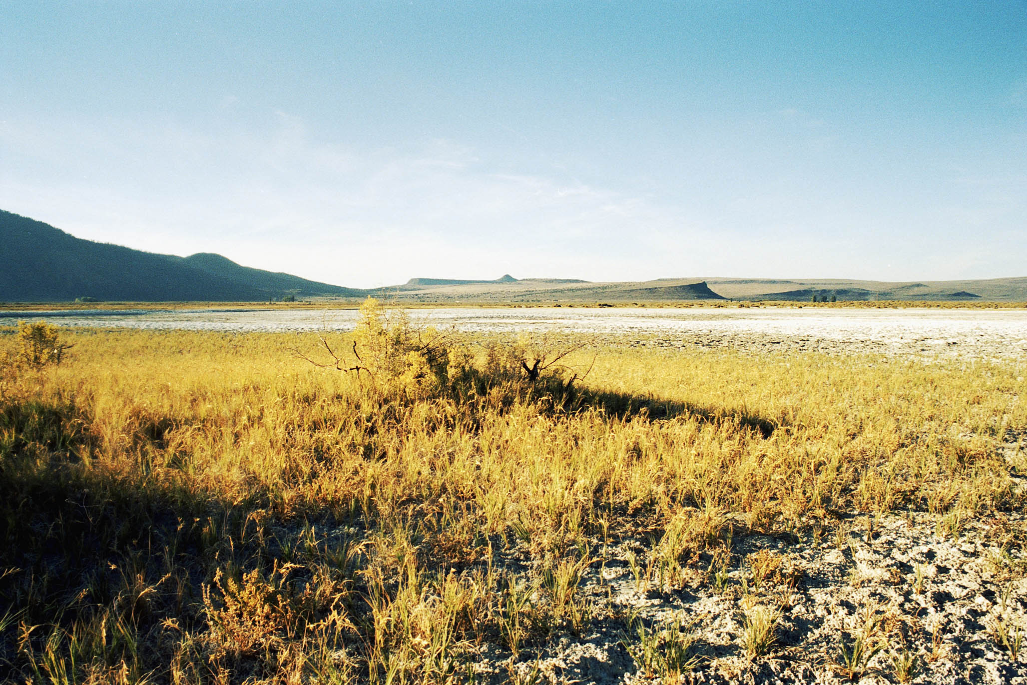 Impactist Summer Lake Image 01
