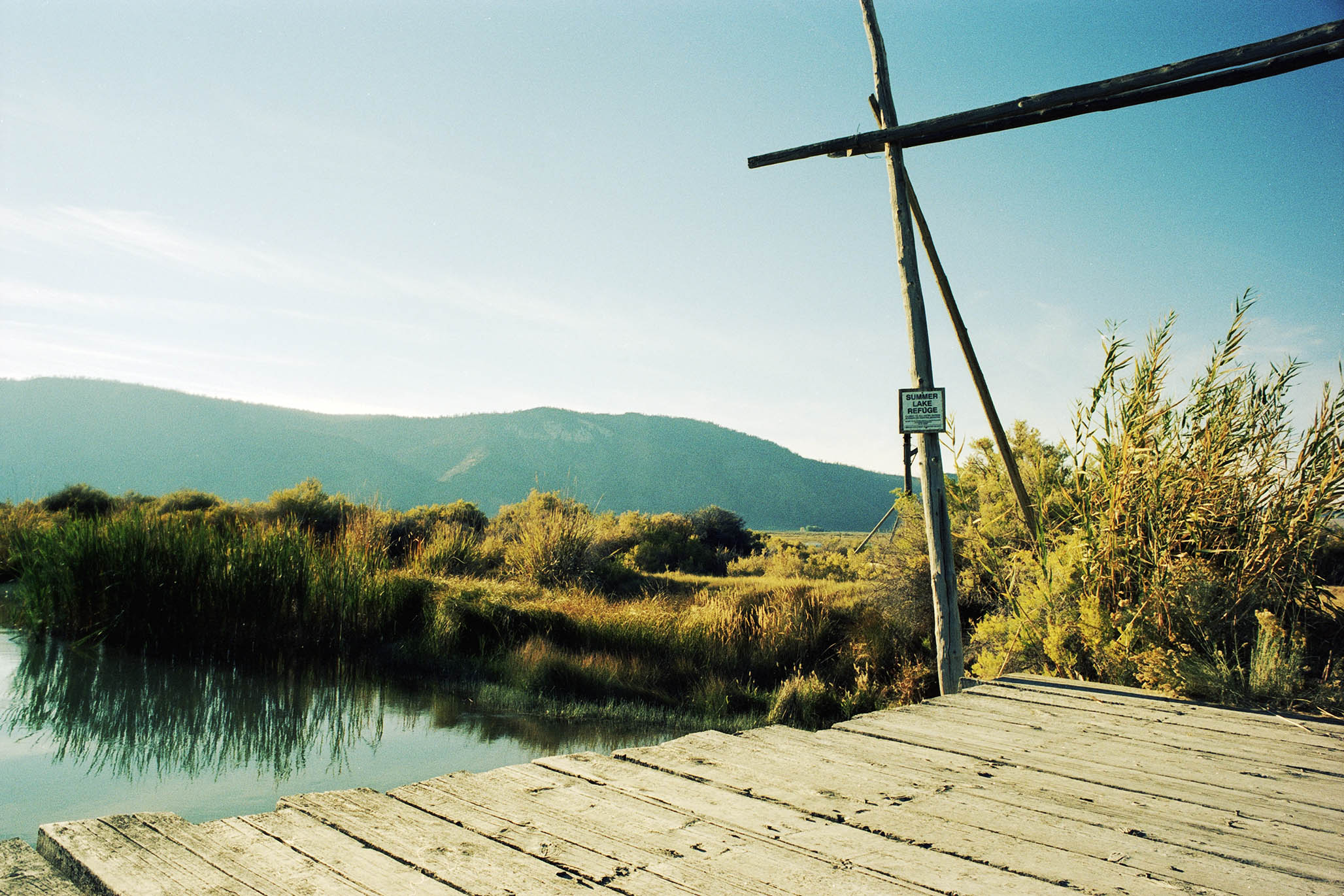 Impactist Summer Lake Image 02