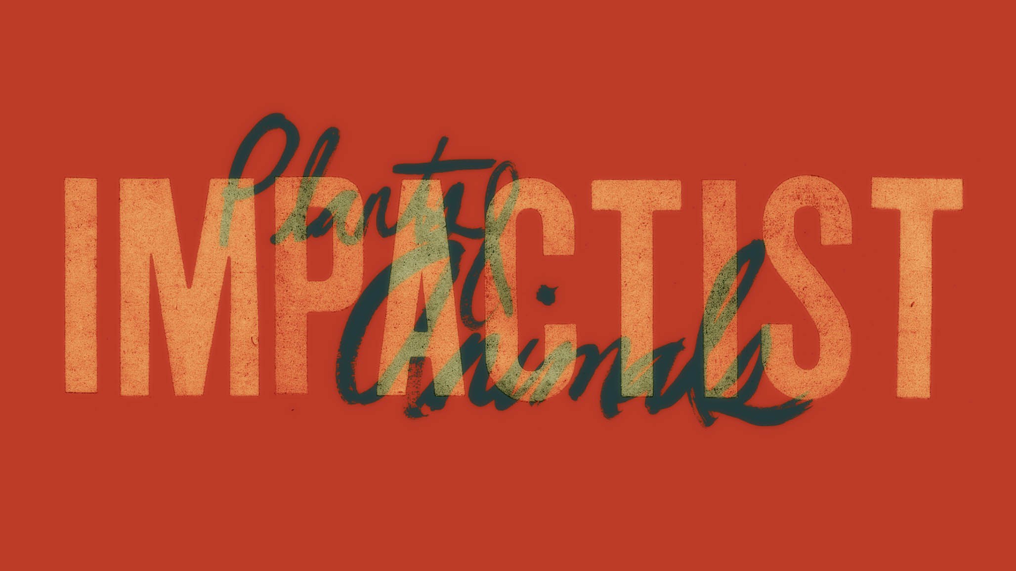 Impactist Summer Song Still Frame 07