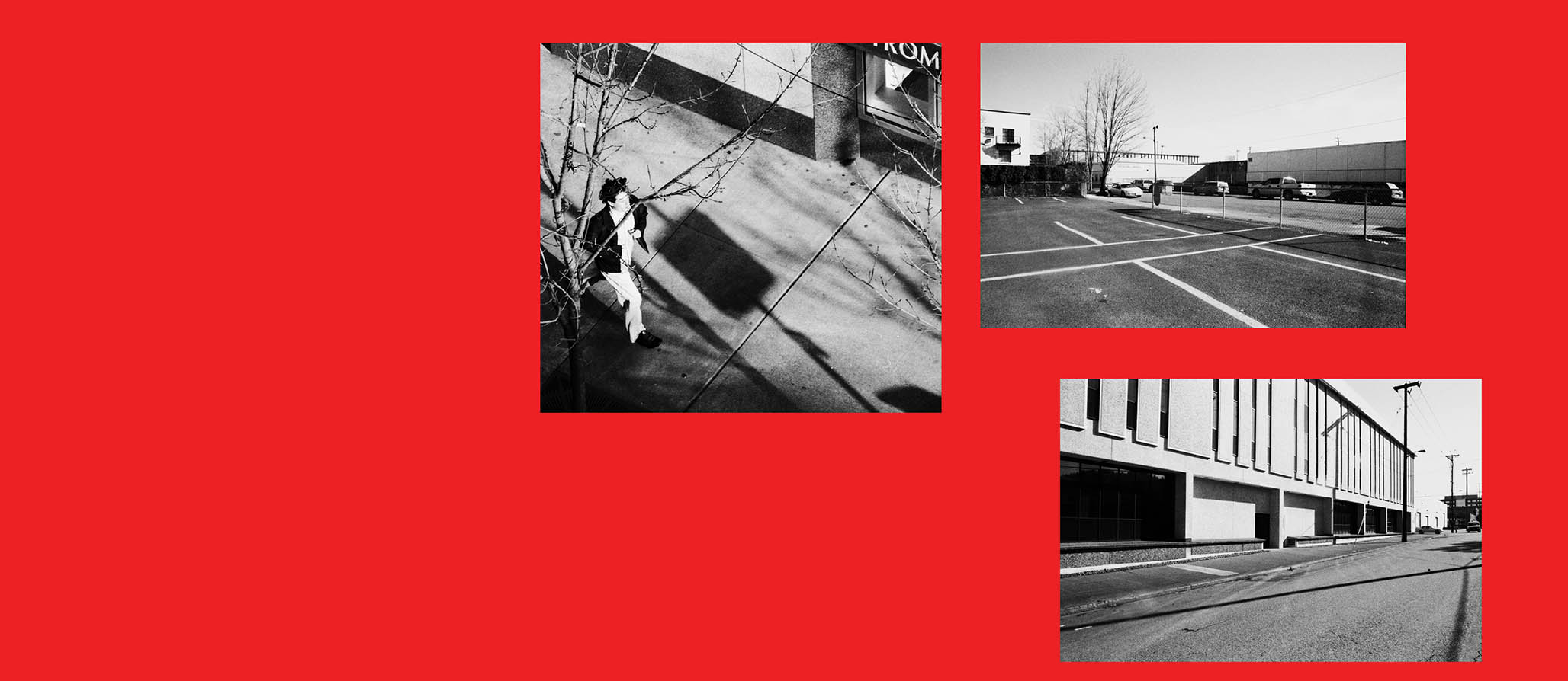 Impactist Surveillance 04