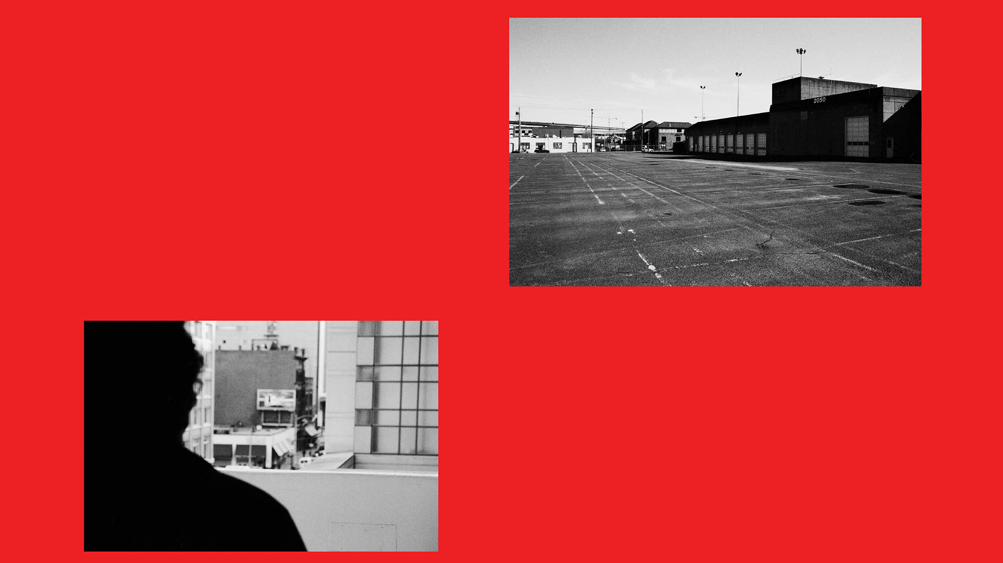 Impactist Surveillance 05