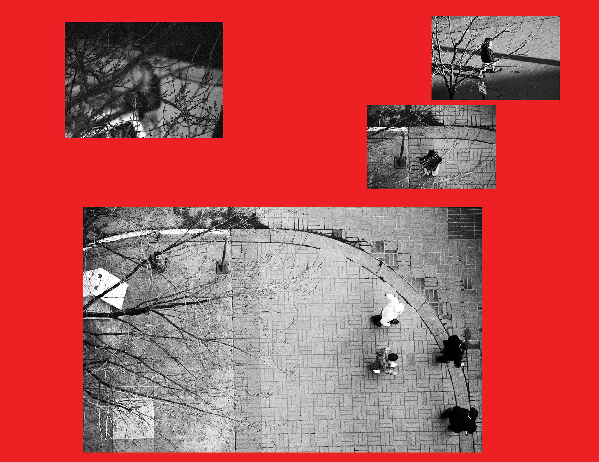 Impactist Surveillance 07